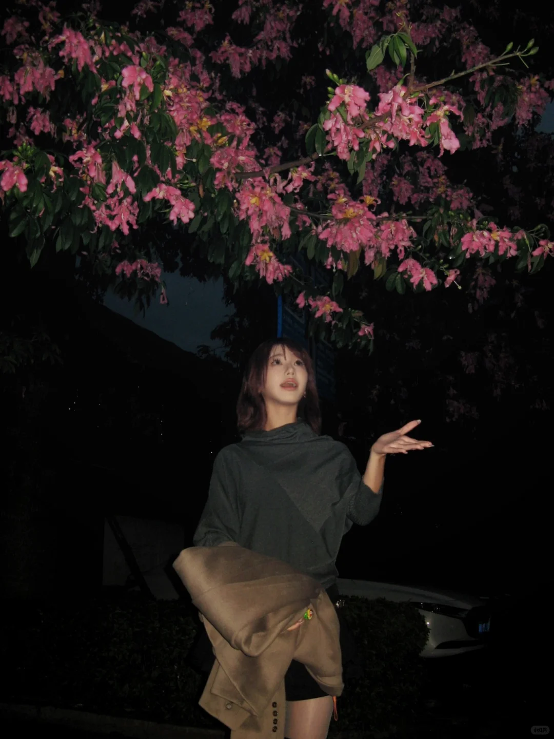 兽医系?牛场实践我会假装自己是个chillguy