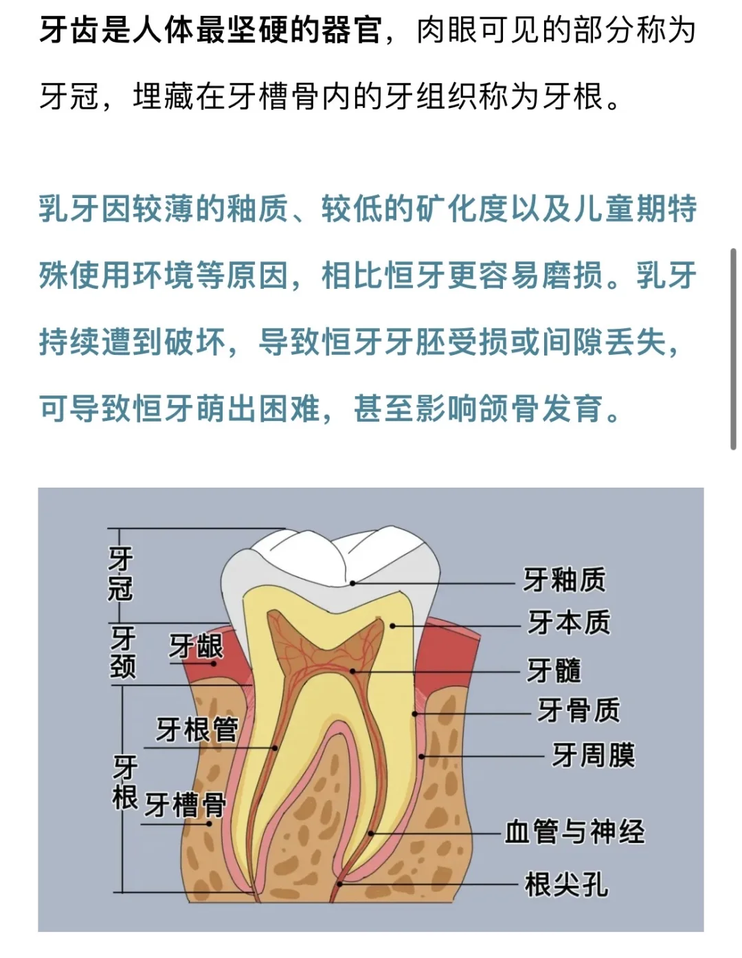 4岁男孩长期喝饮料满嘴烂牙
