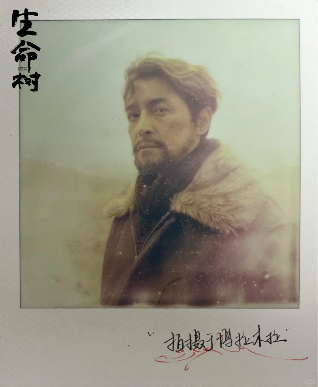 电视剧《生命树》杀青,杨紫领衔主演