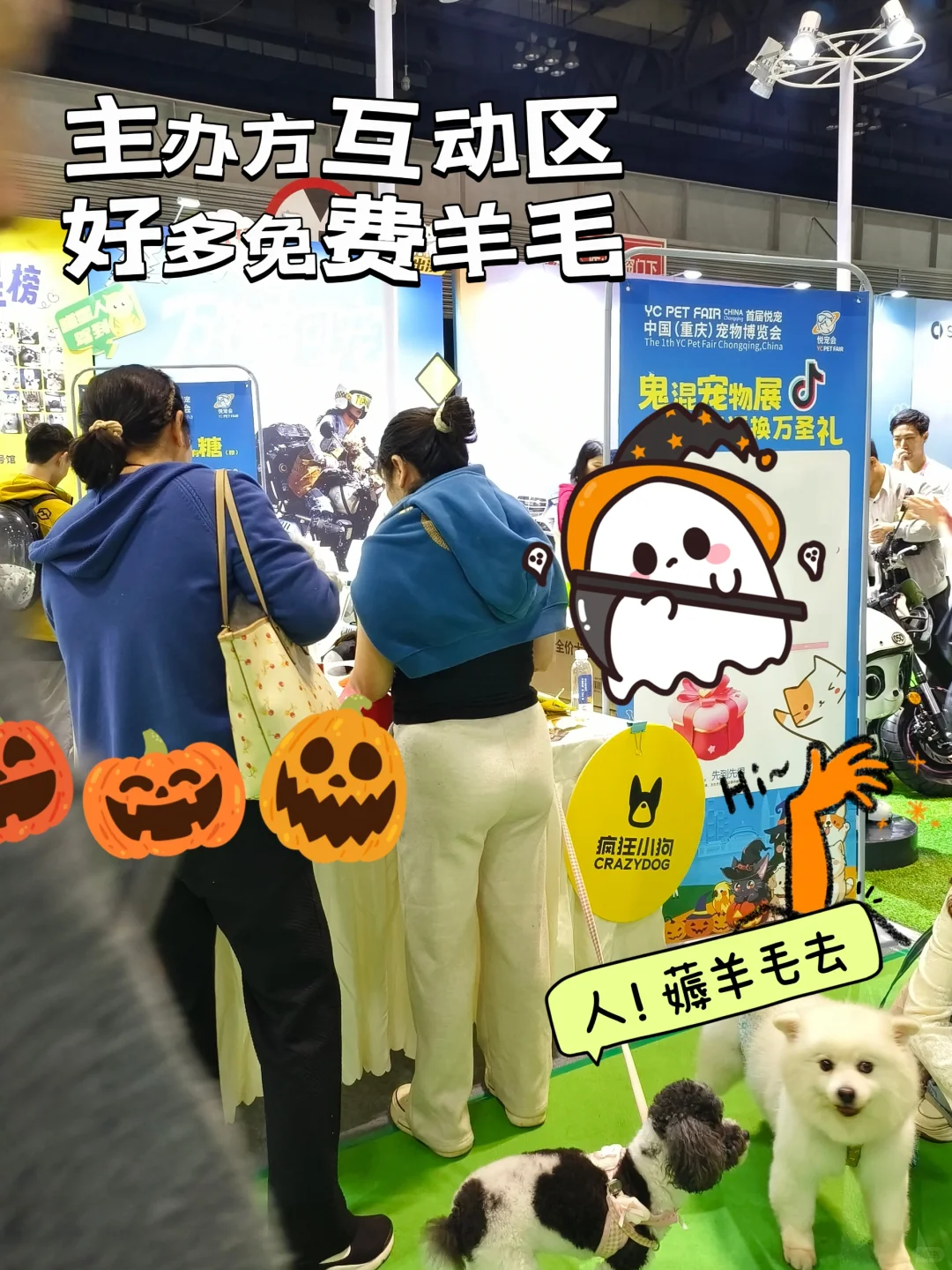 人！来重庆南坪宠博会薅起