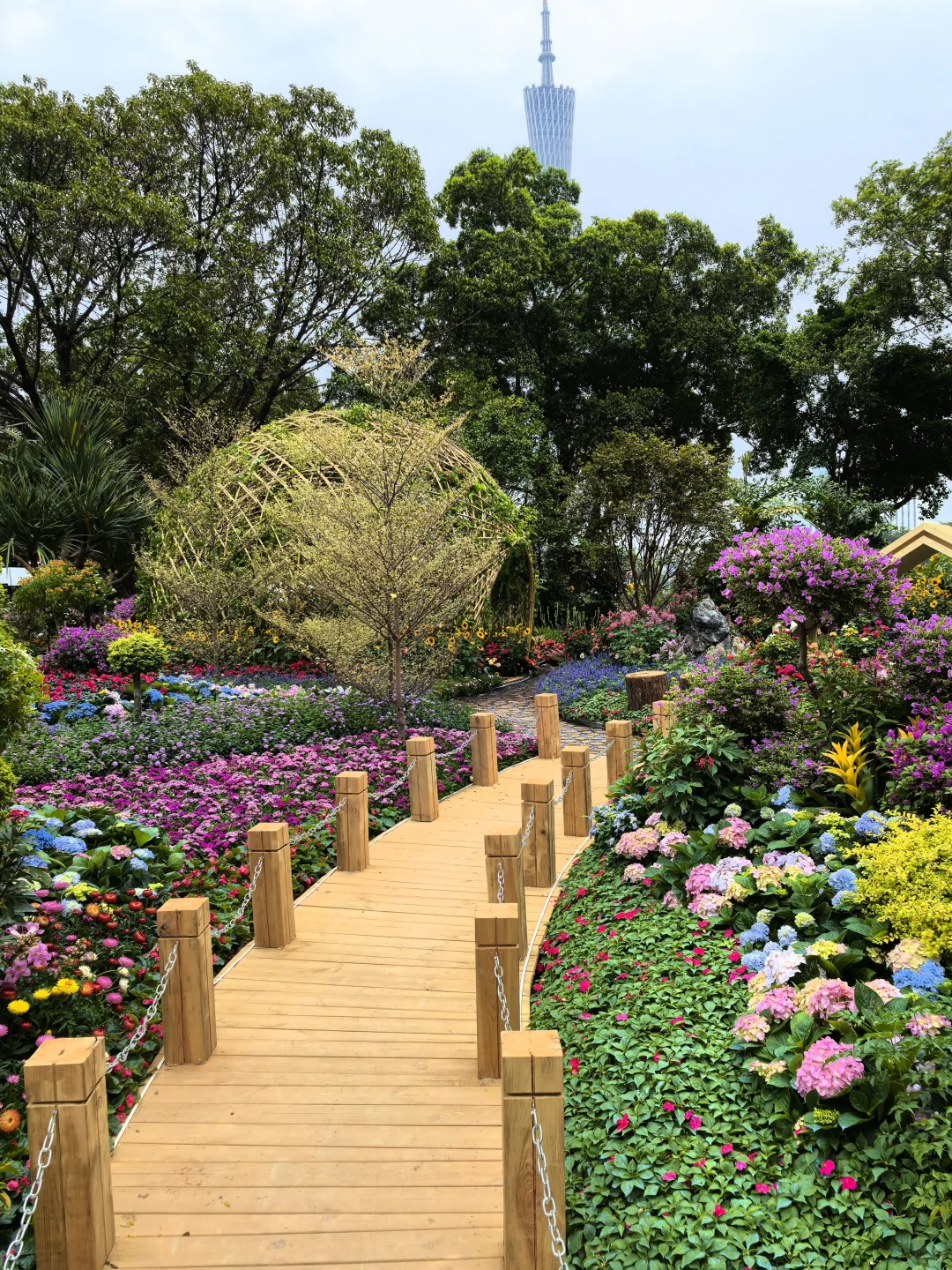 广州园林博览会不建议去，有点费腿?