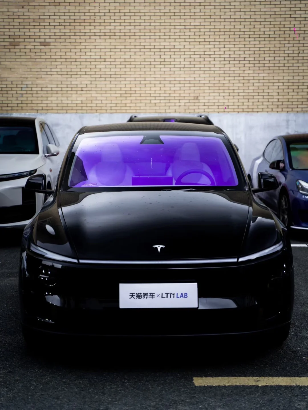 紫色?才显得更有韵味