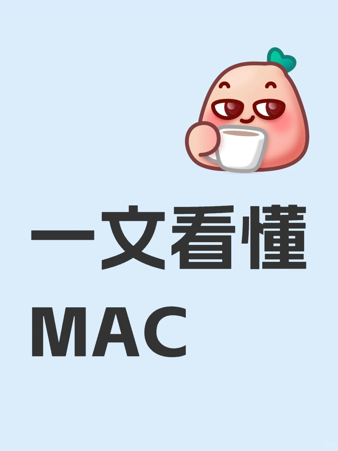 MAC（Media Access Control）即