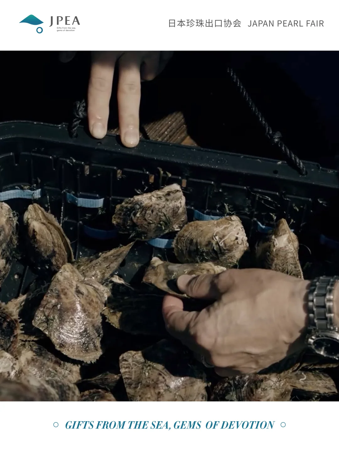 日本珍珠的魅力，从这里开始