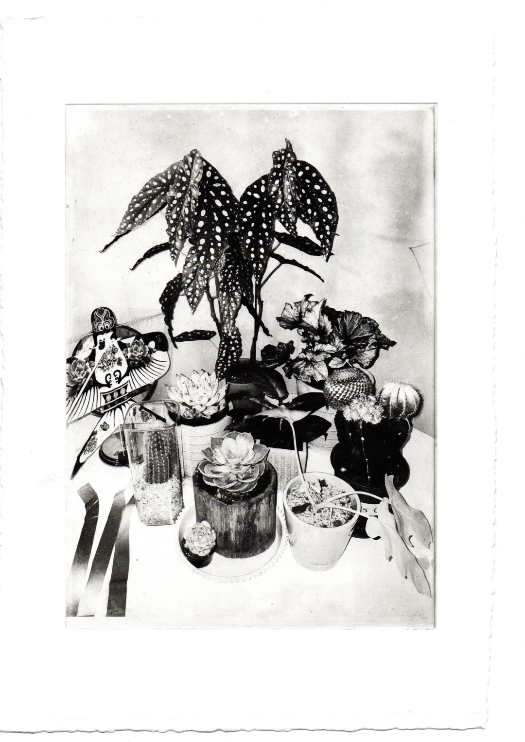 初次实验照相凹版，好玩