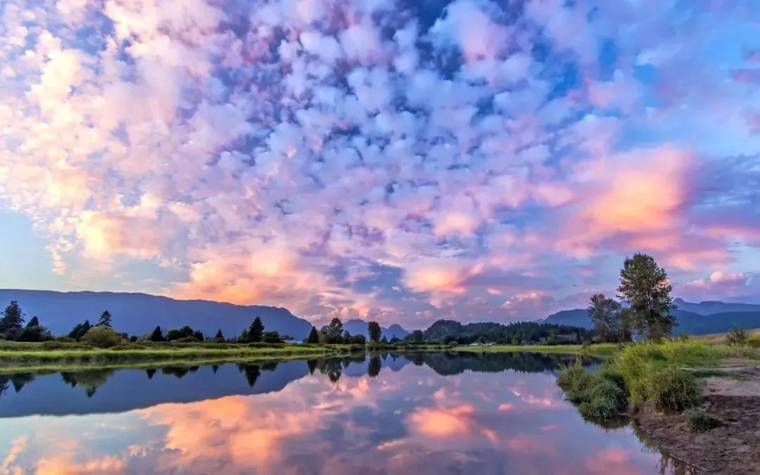 从AI到绿色:探索人工智能如何助力我们地球