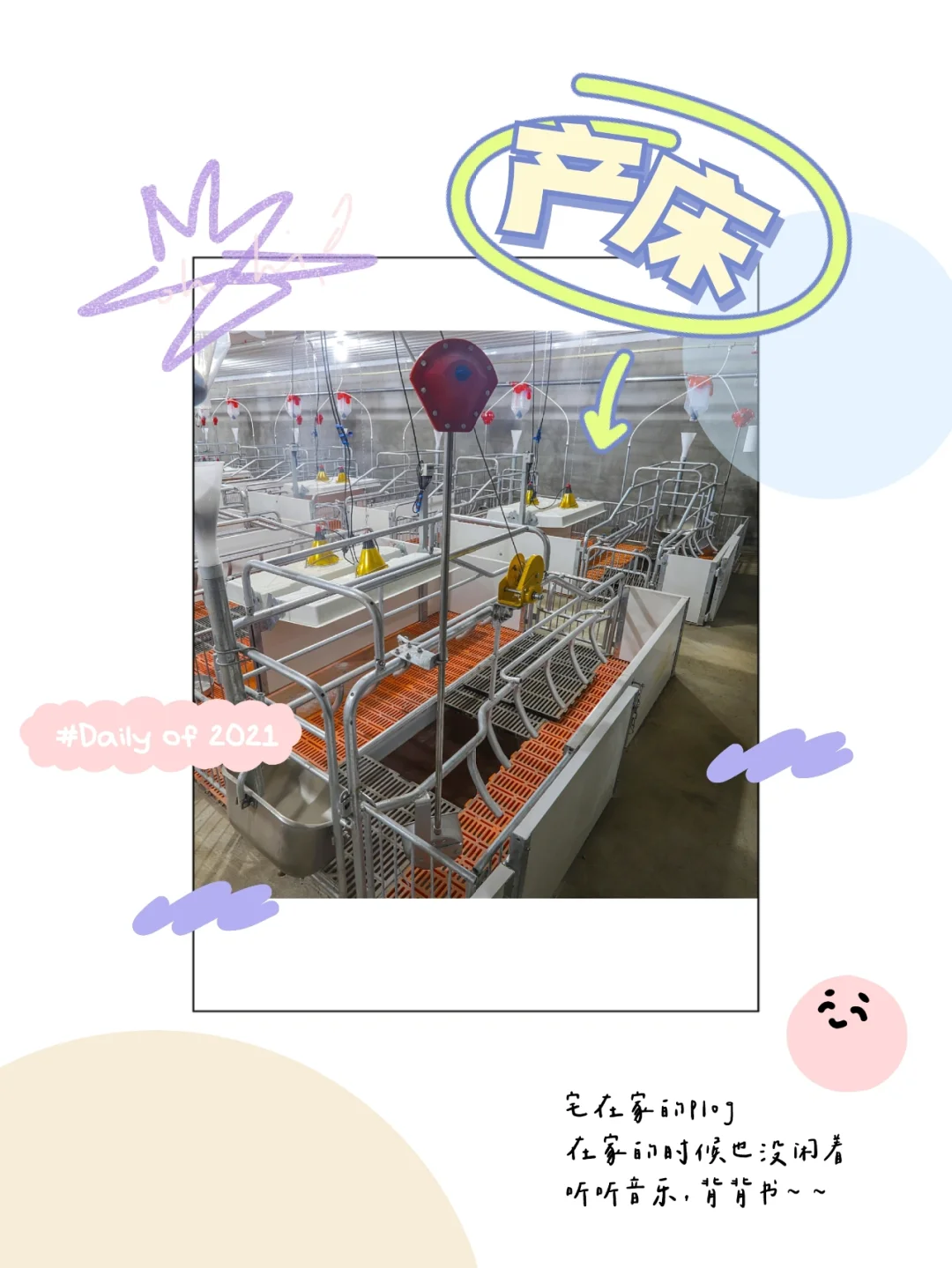 “呕心沥血”整理的养猪设备干货，拿走不谢