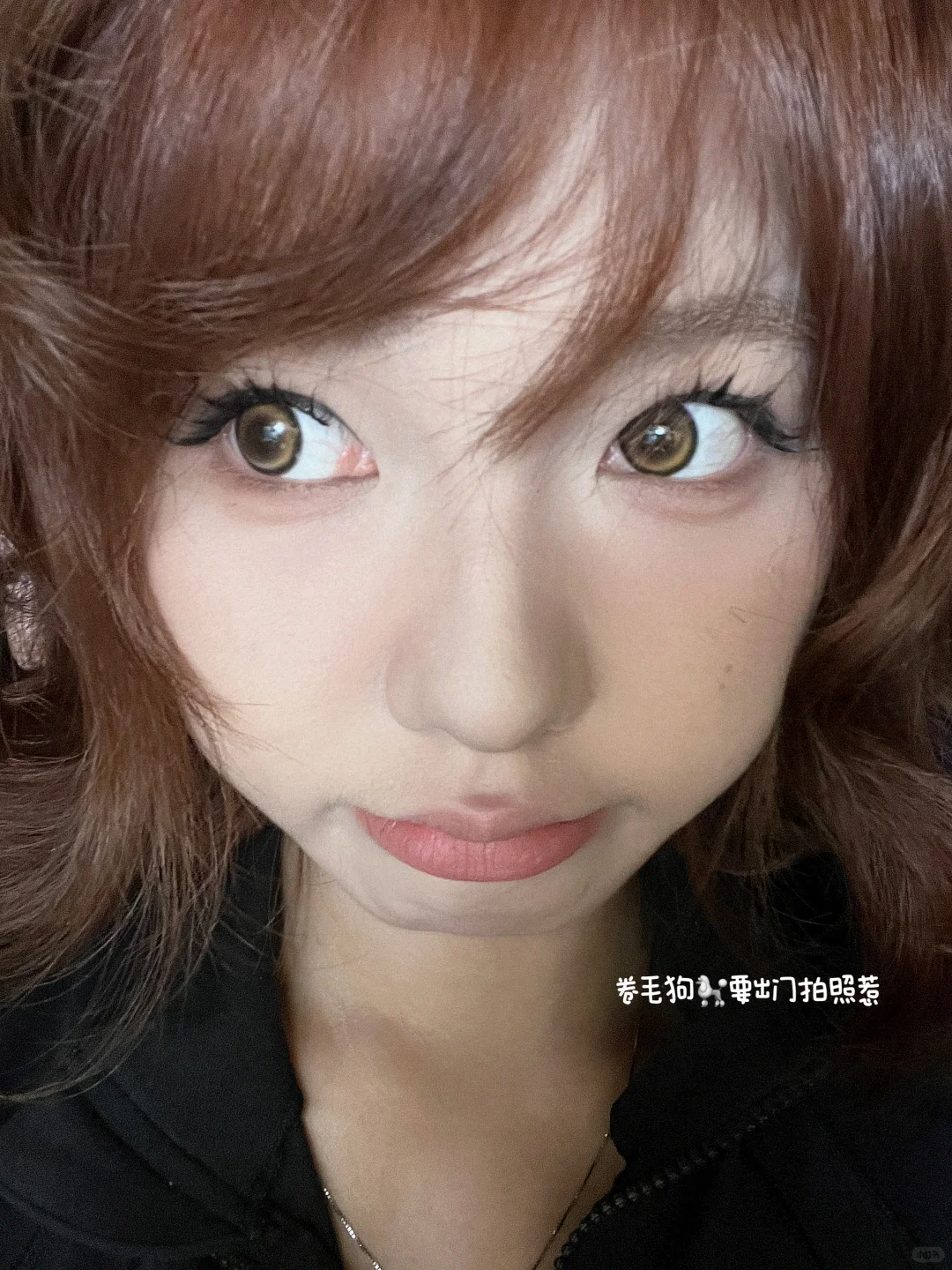 兽医系?牛场实践我会假装自己是个chillguy