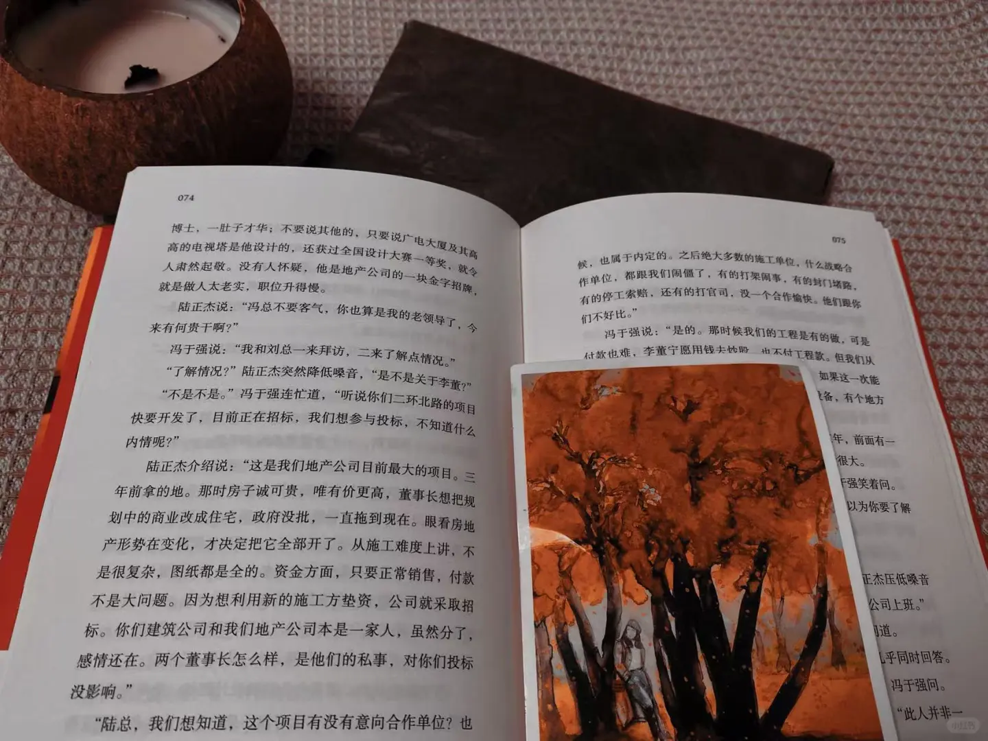 如果你对招投标好奇 这本书能颠覆认知!