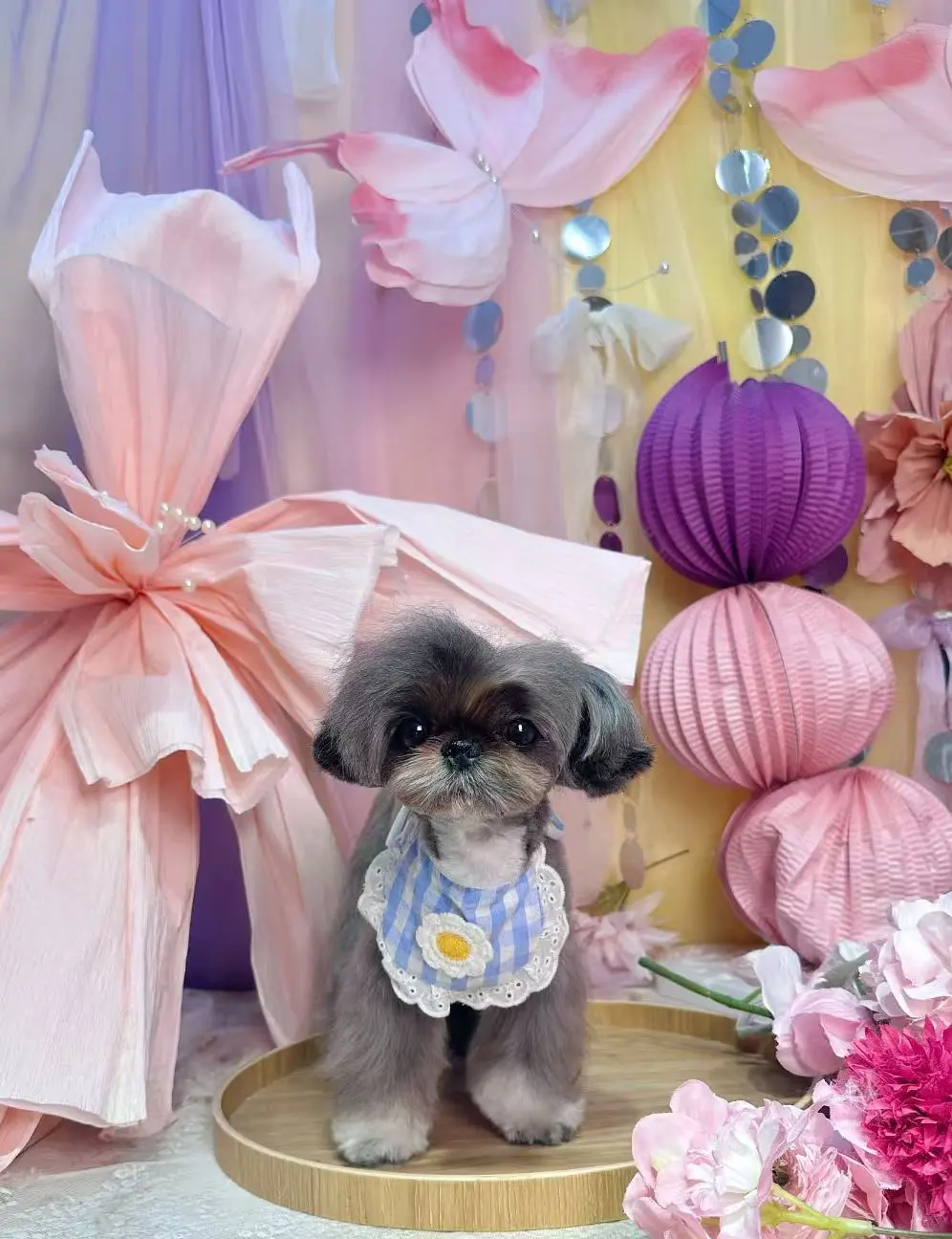 打卡元医它博会