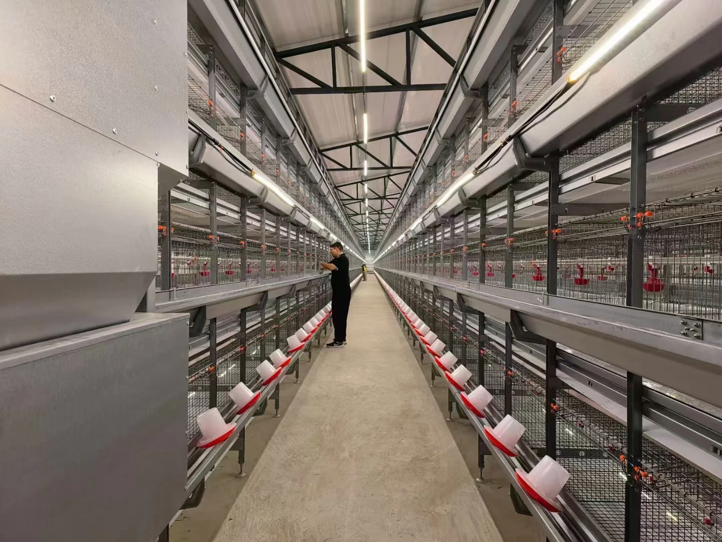 万事俱备 只欠鸡来 年代化养殖设备