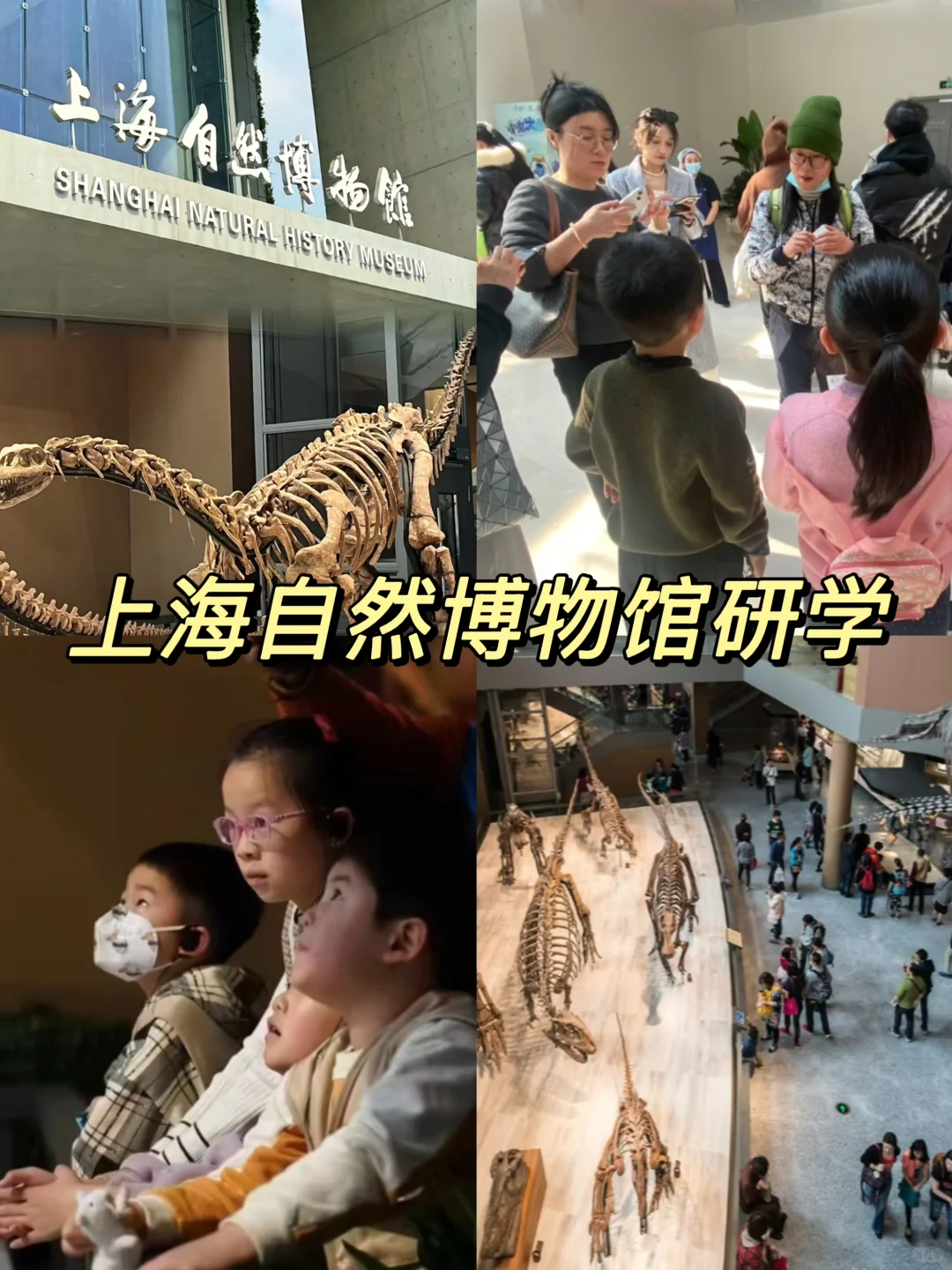 为什么一定要带小孩去一趟上海～