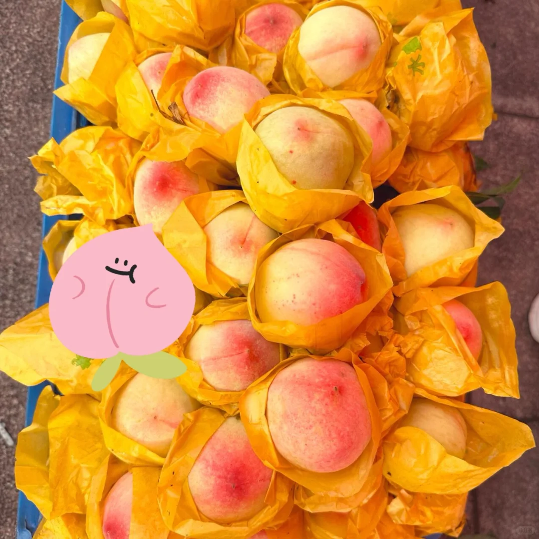 组件工厂参观?：神奇的体验又又又增加啦