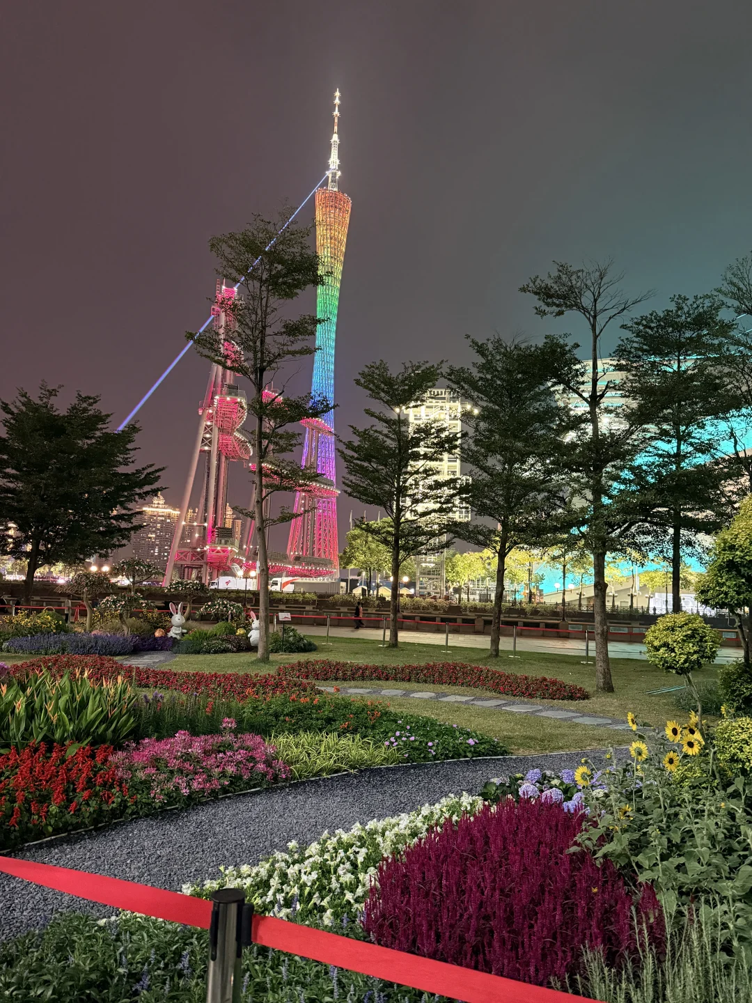 亮灯了！！广州的浪漫是花城给的！！