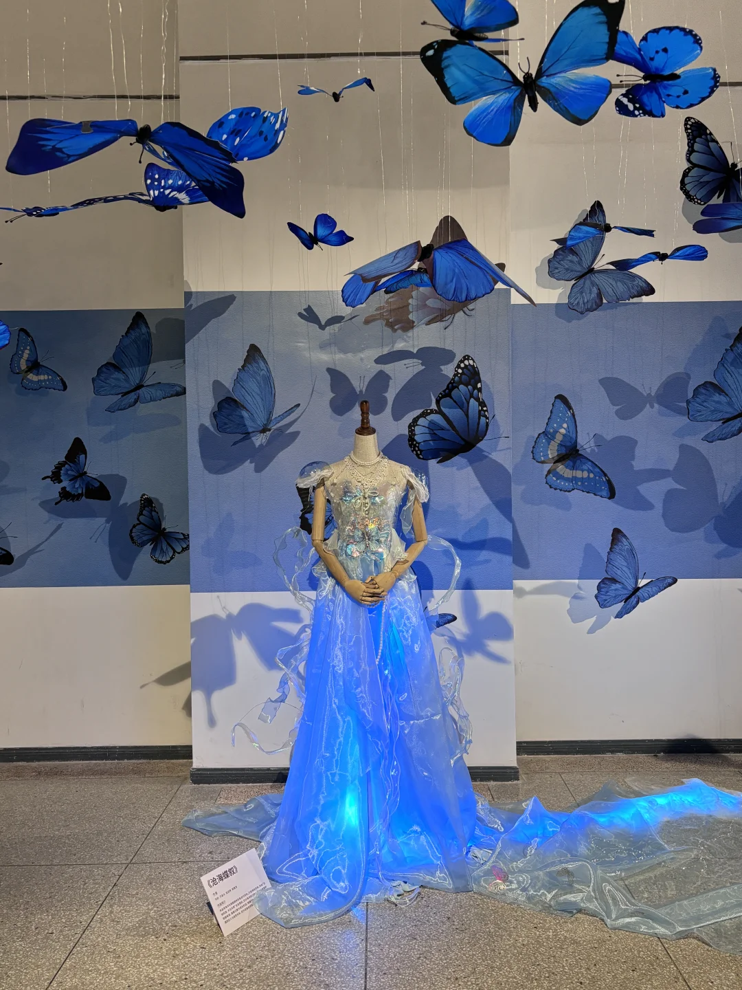 破茧而生，羽化而美｜武汉华农「蝶变」艺术展