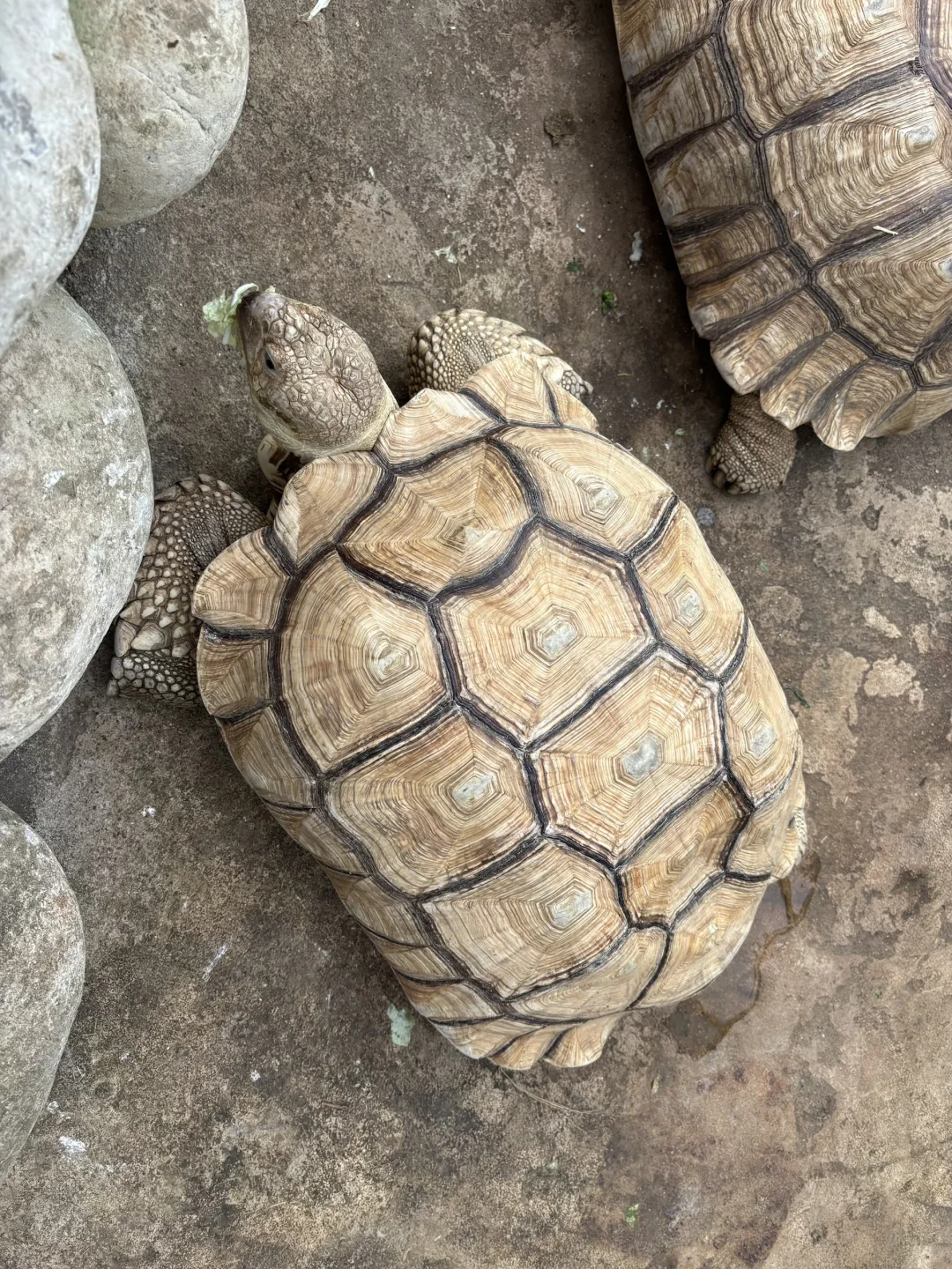 北京博物馆分享第二十九站—北京地热博览馆！