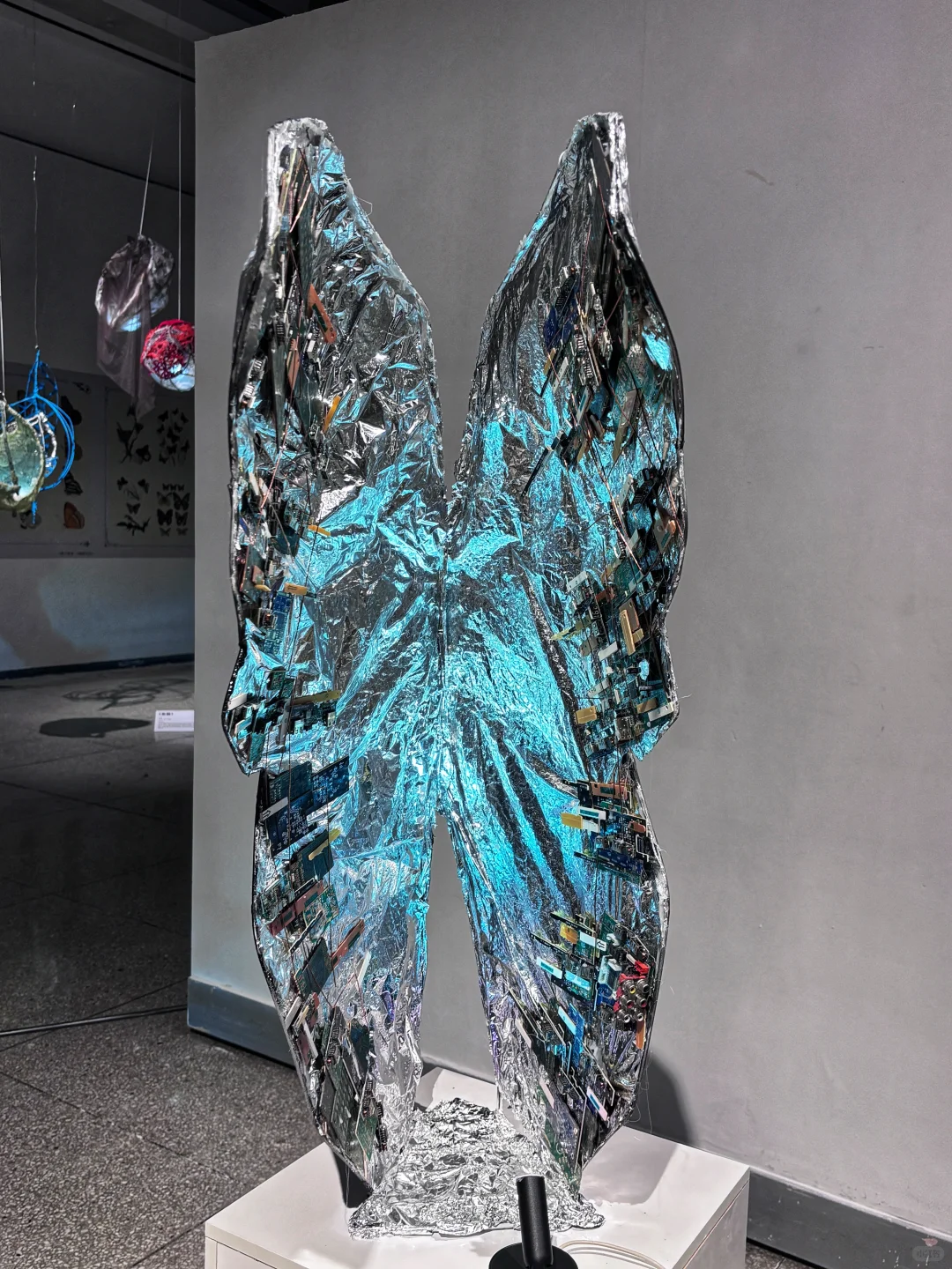 破茧而生，羽化而美｜武汉华农「蝶变」艺术展