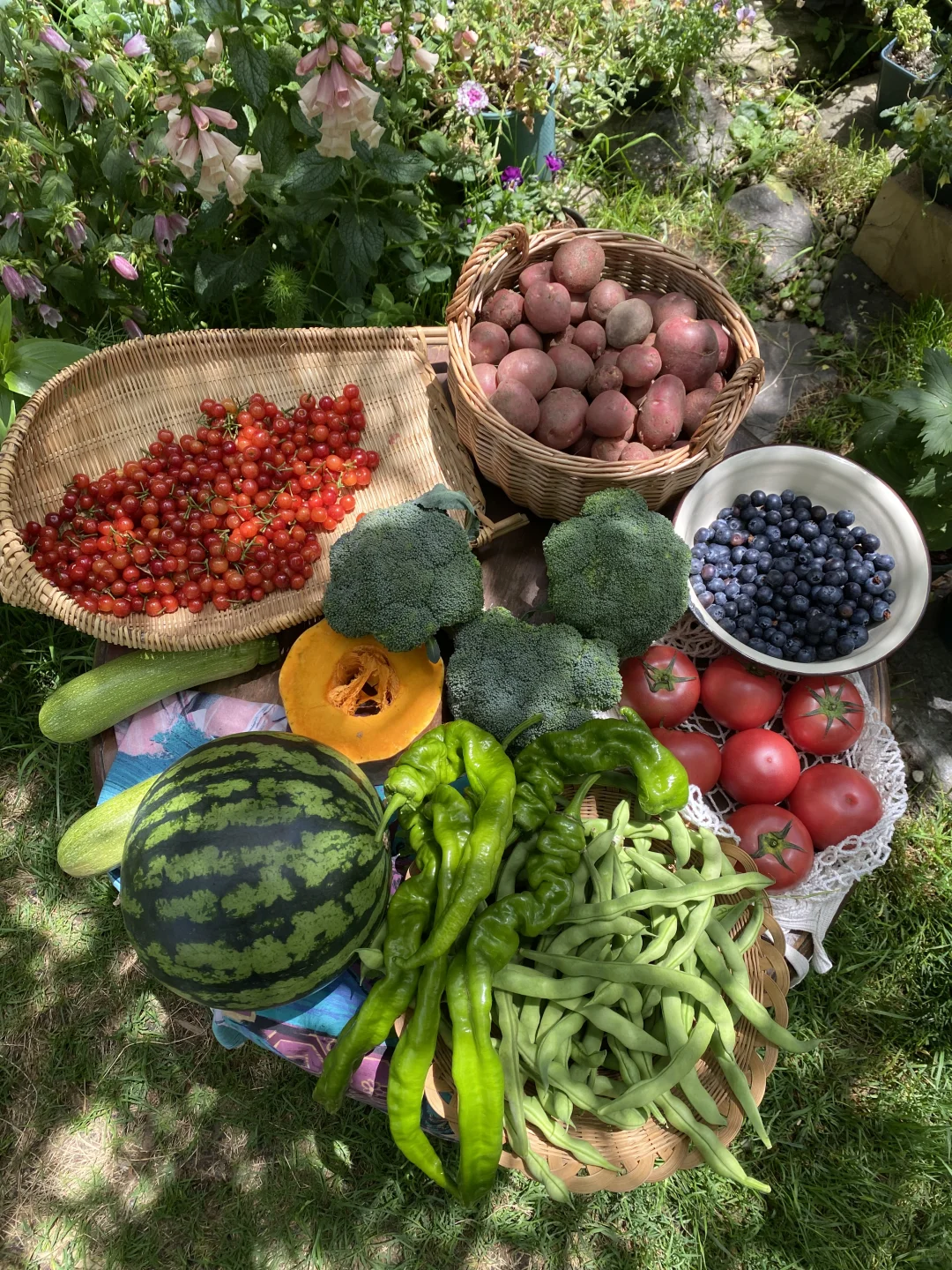 久违的乡村市集