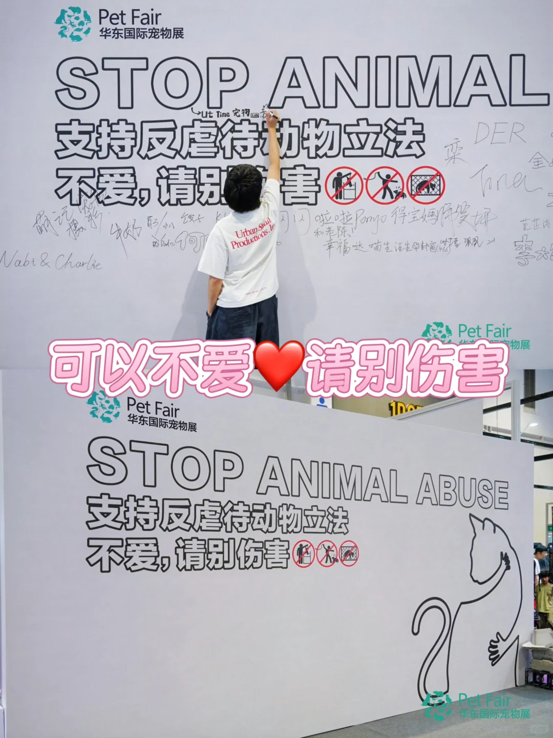 冲！第六届华东宠物展来杭州啦！