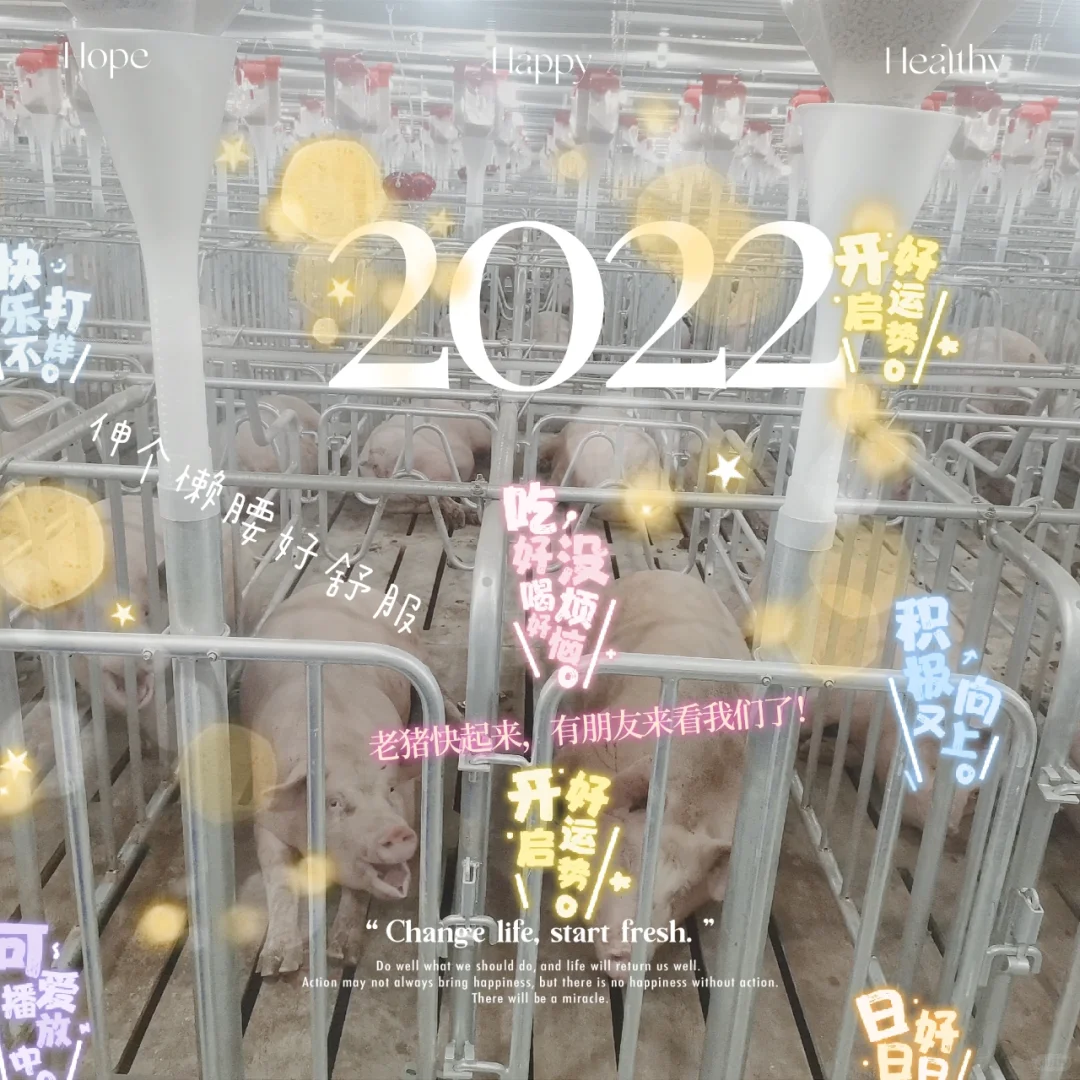 “呕心沥血”整理的养猪设备干货，拿走不谢