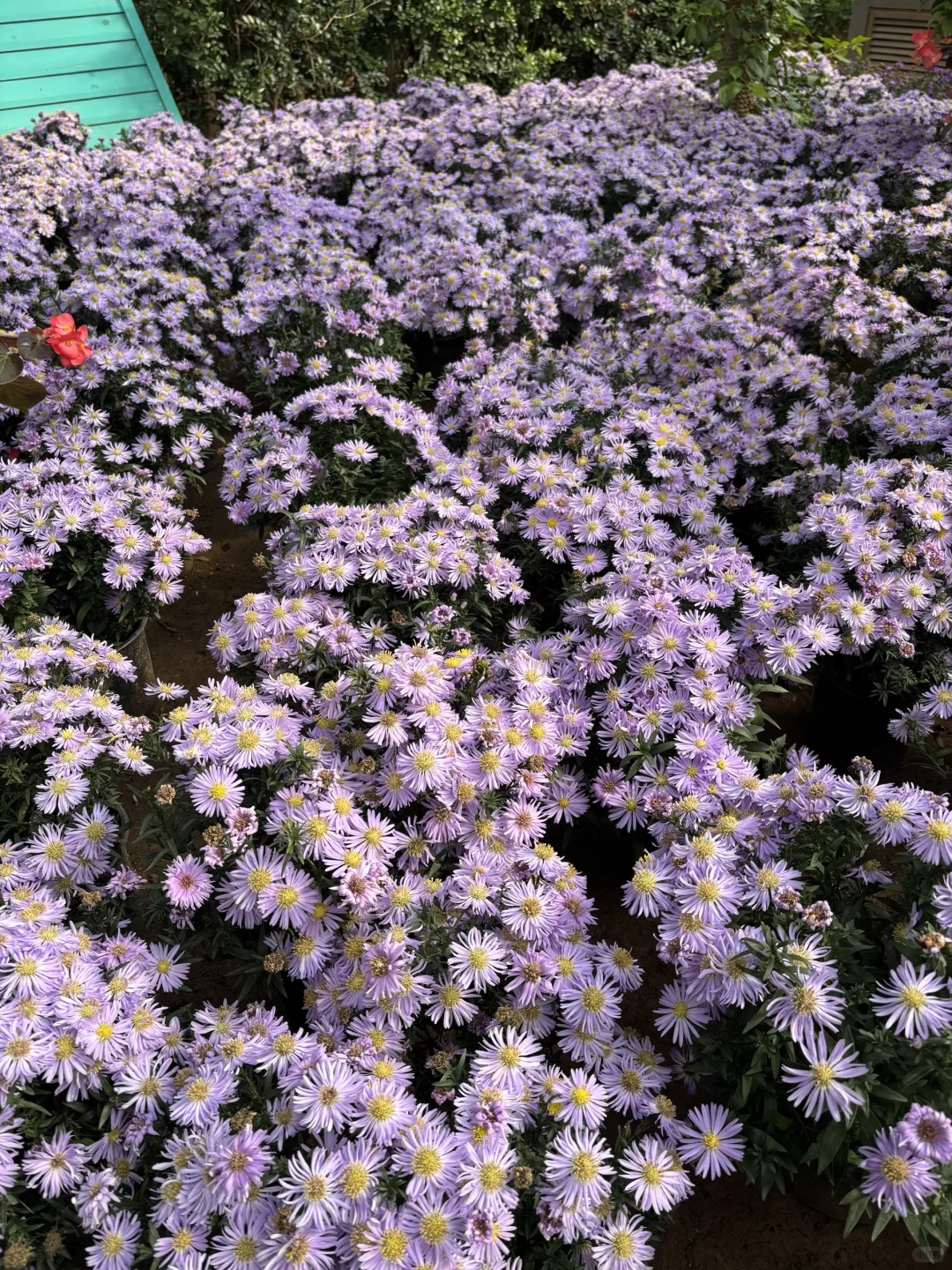 北京博物馆分享第二十九站—北京地热博览馆！