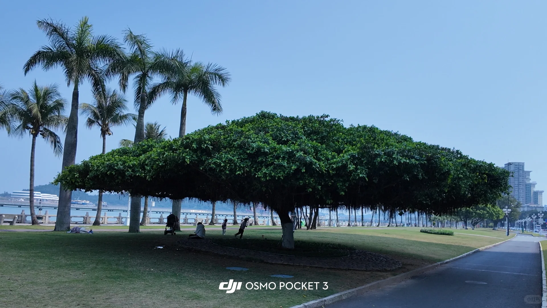 大疆简直是诈骗