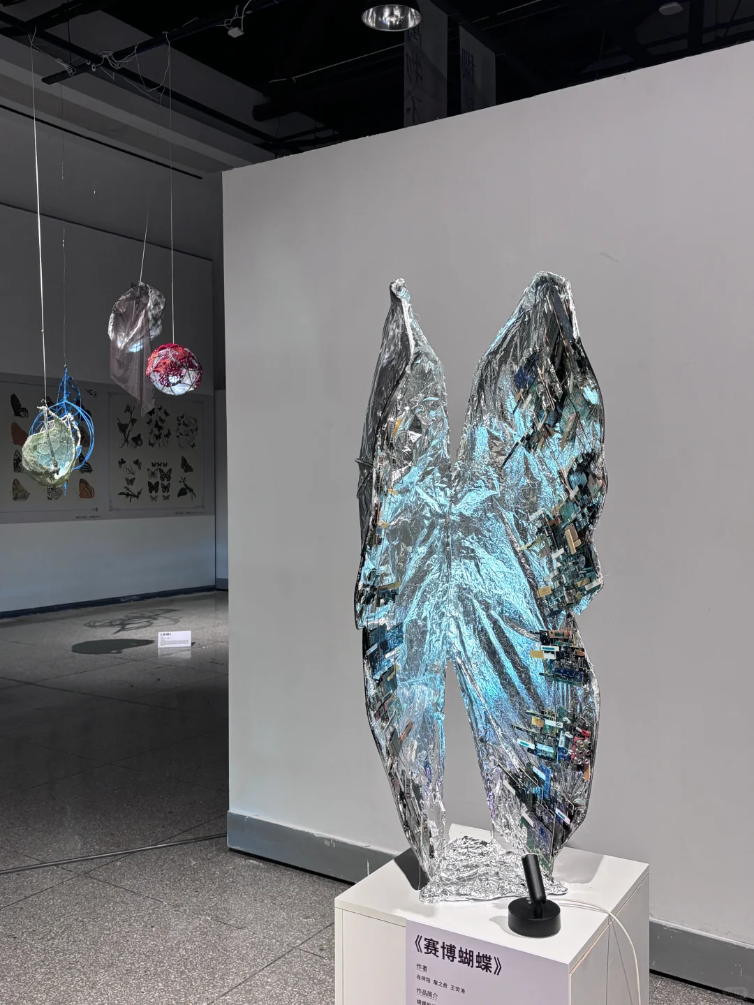 破茧而生，羽化而美｜武汉华农「蝶变」艺术展