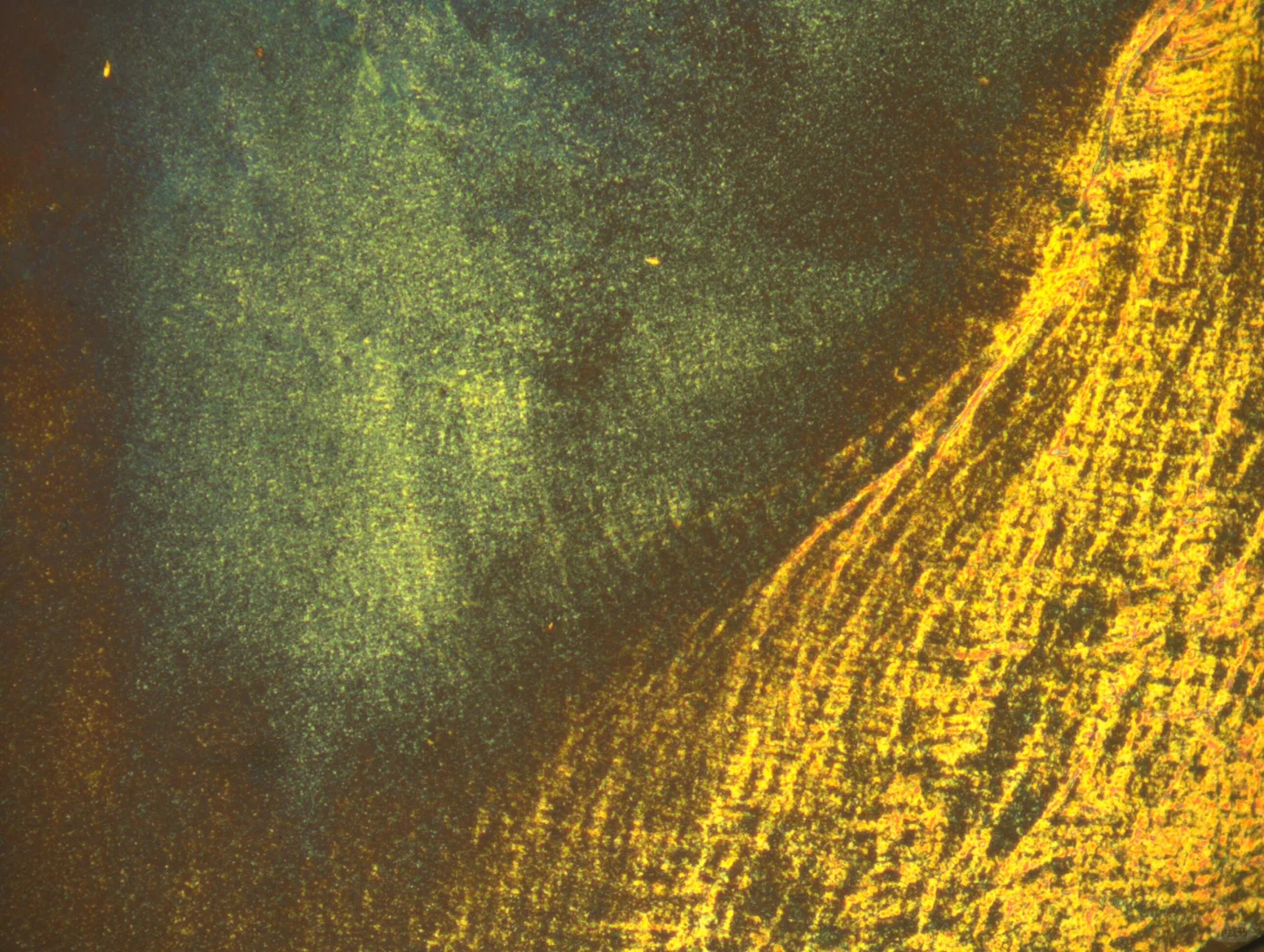 显微镜下的艺术 —— 液晶织构