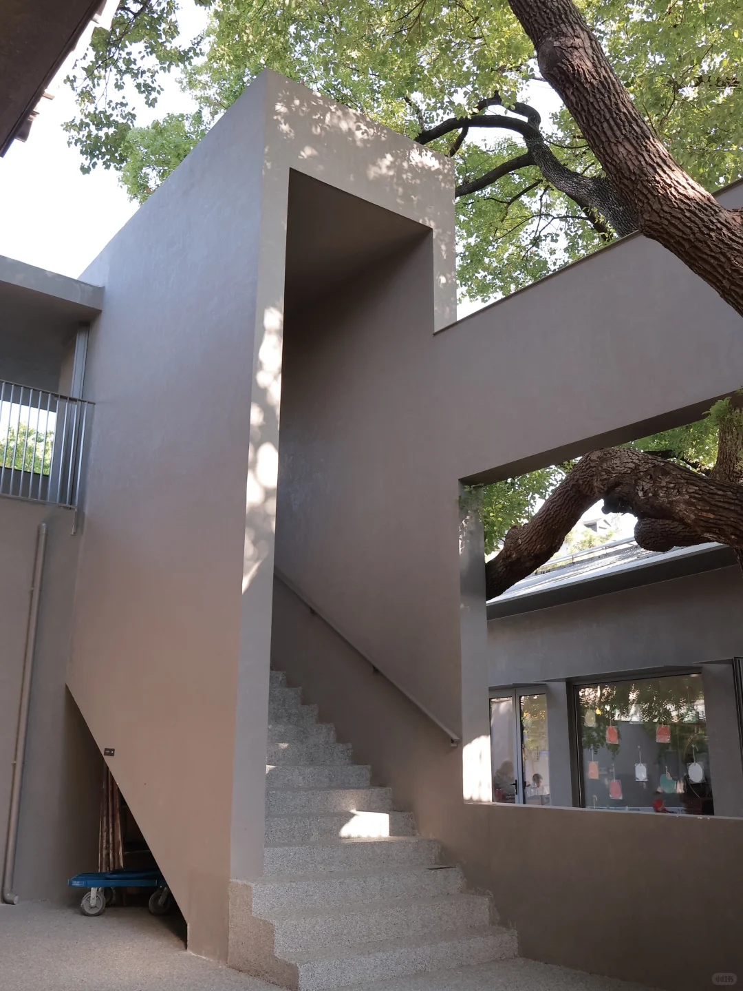 杭州新展｜番茄你个tomato ???️