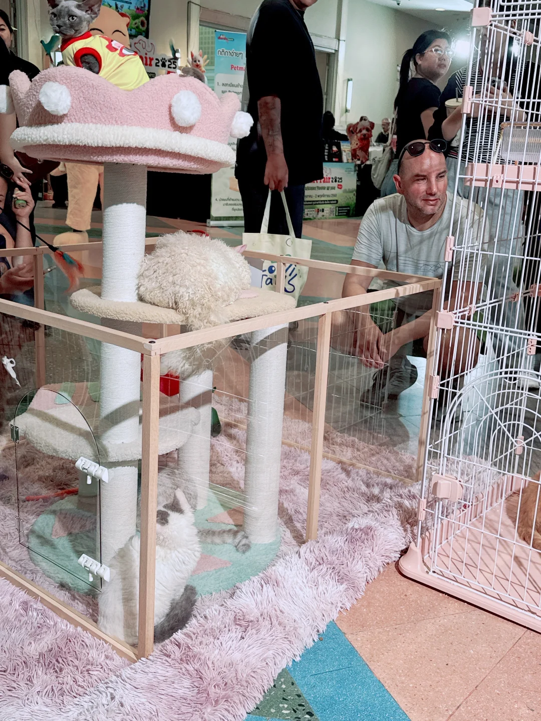 2025清迈宠物展第一天 老板视角带你云逛展