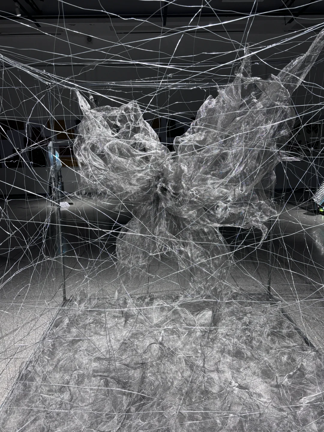 破茧而生，羽化而美｜武汉华农「蝶变」艺术展