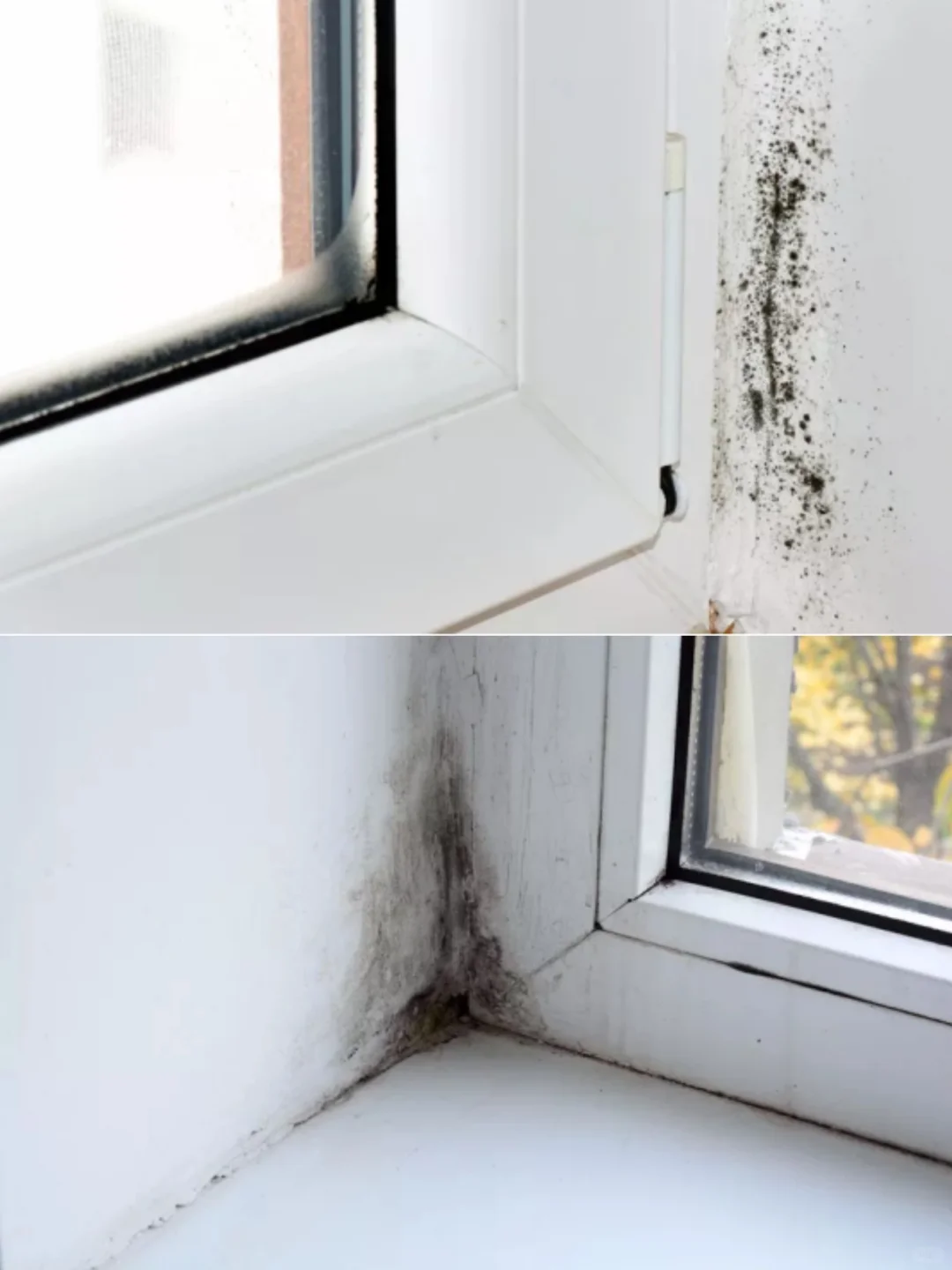 冬天地暖房窗边发霉？
