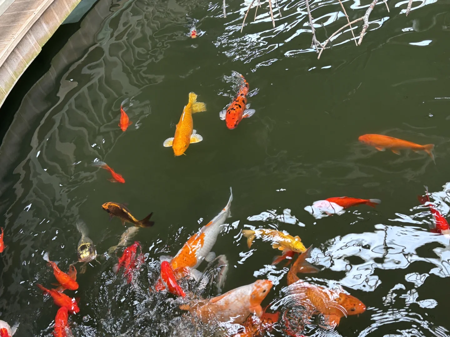 北京博物馆分享第二十九站—北京地热博览馆！