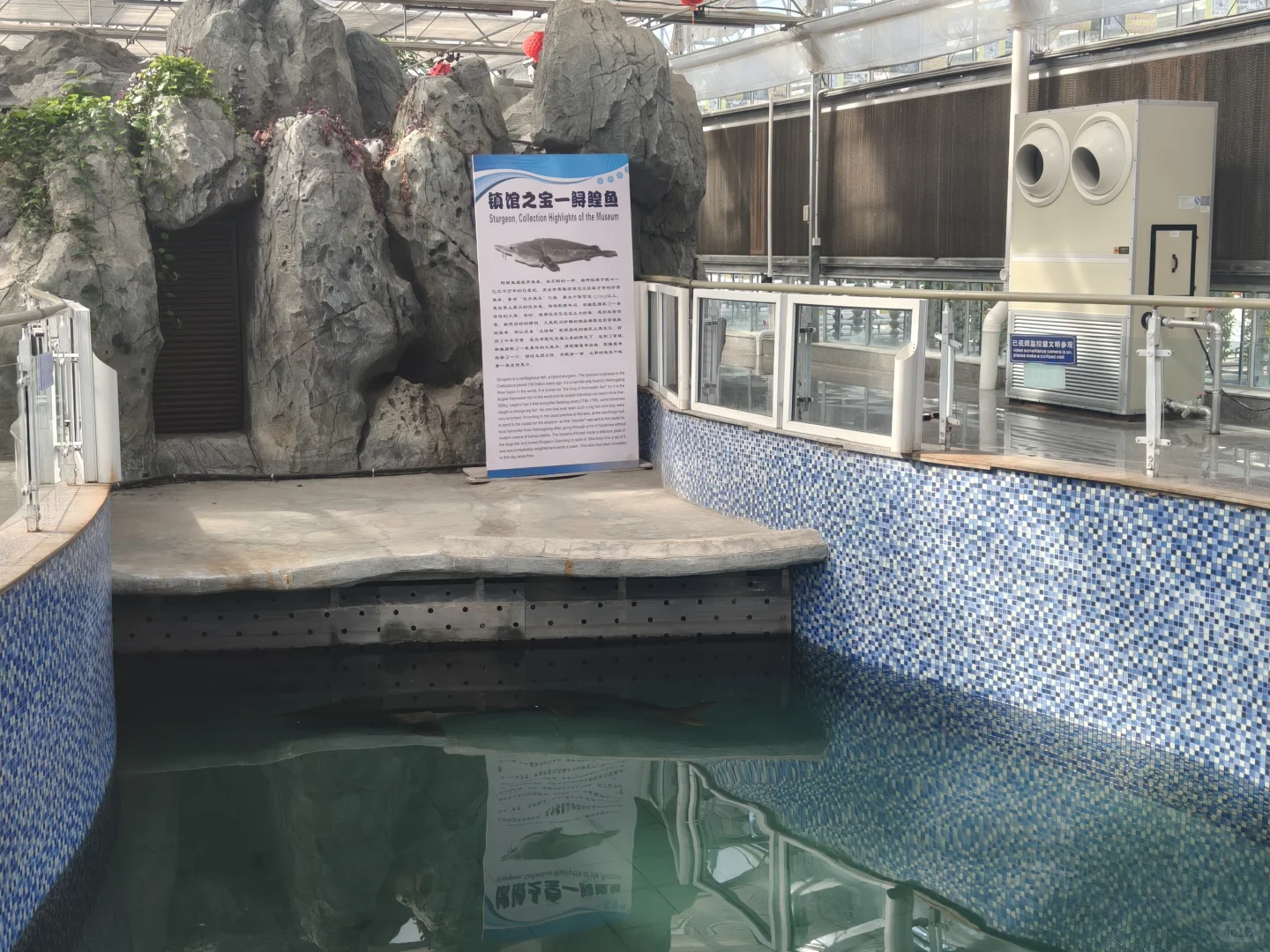 ? 探索吉林农业大学的“鱼”乐世界！