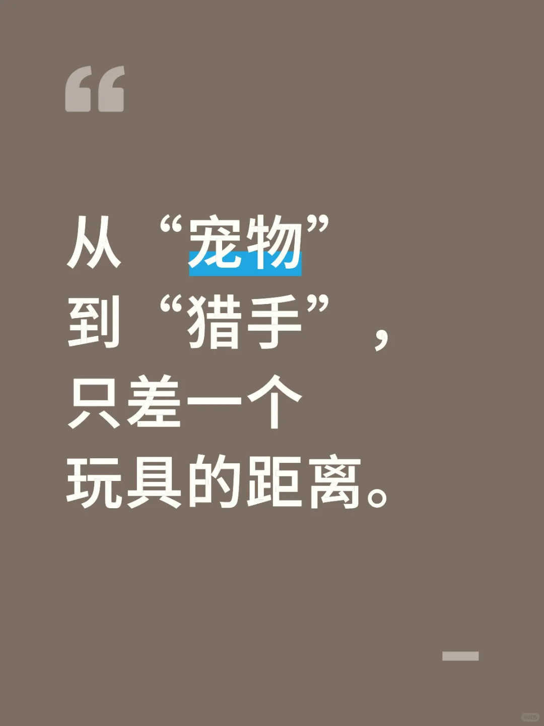 从“宠物”到“猎手”，只差一个玩具的距离。