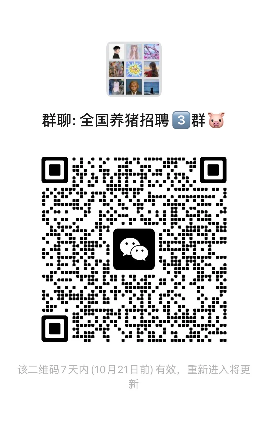 家人们!别再卷写字楼啦!猪场招人,待遇香到