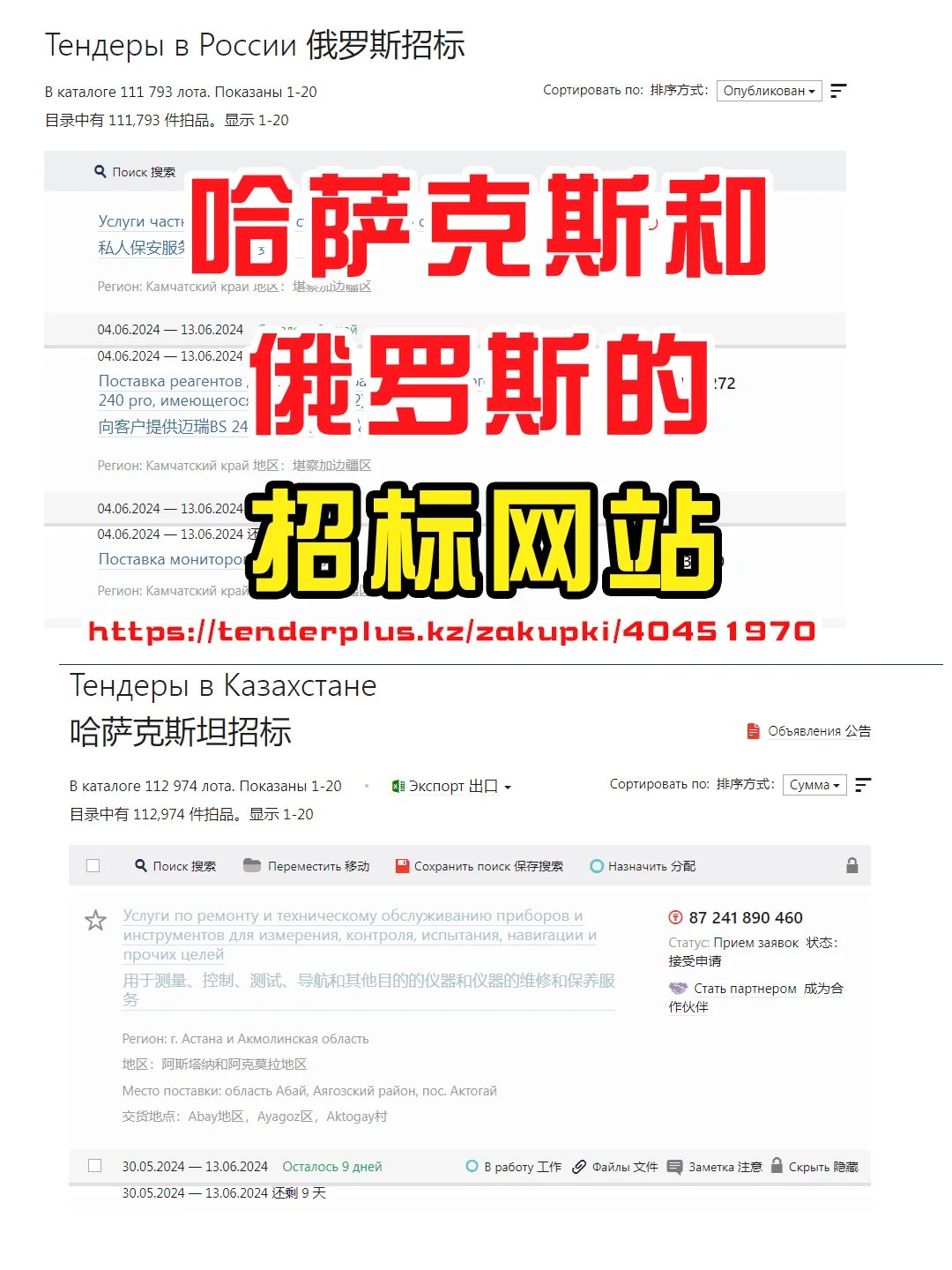 哈萨克斯坦 和 俄罗斯的 招标网站