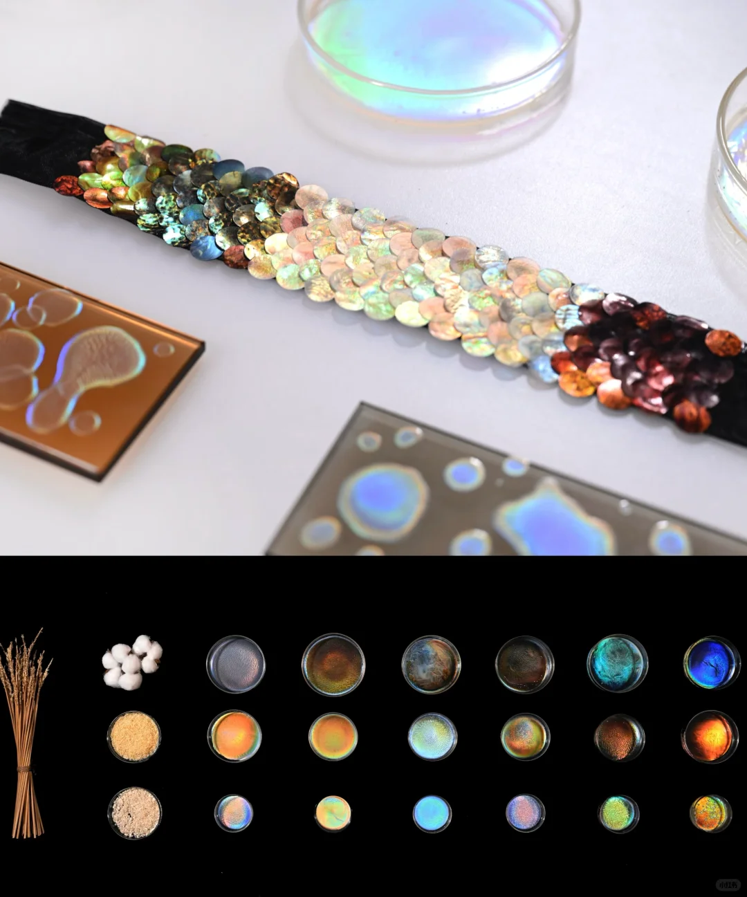 ? 来自植物纤维的 Buling Buling 亮片✨