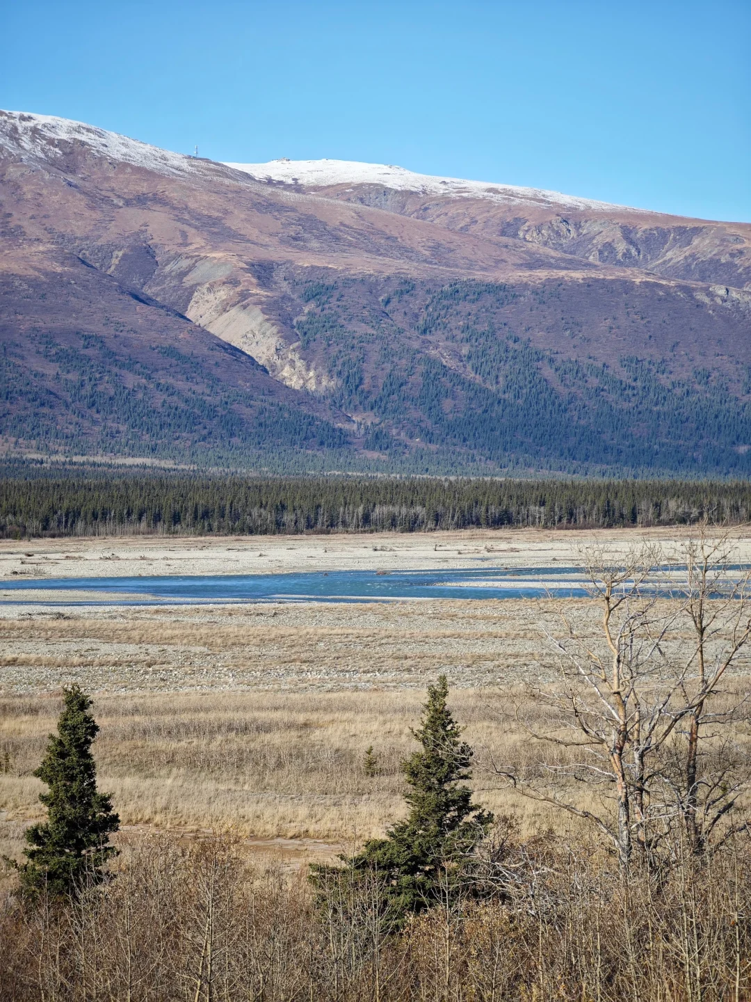 阿拉斯加输油管道