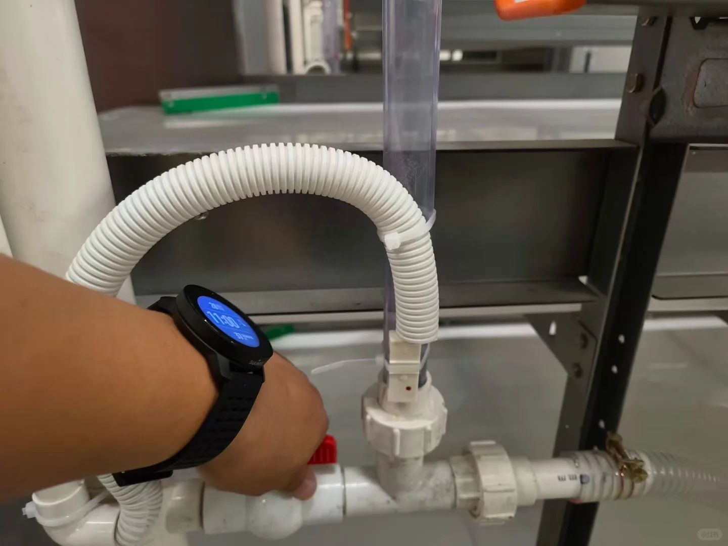 万事俱备 只欠鸡来 年代化养殖设备