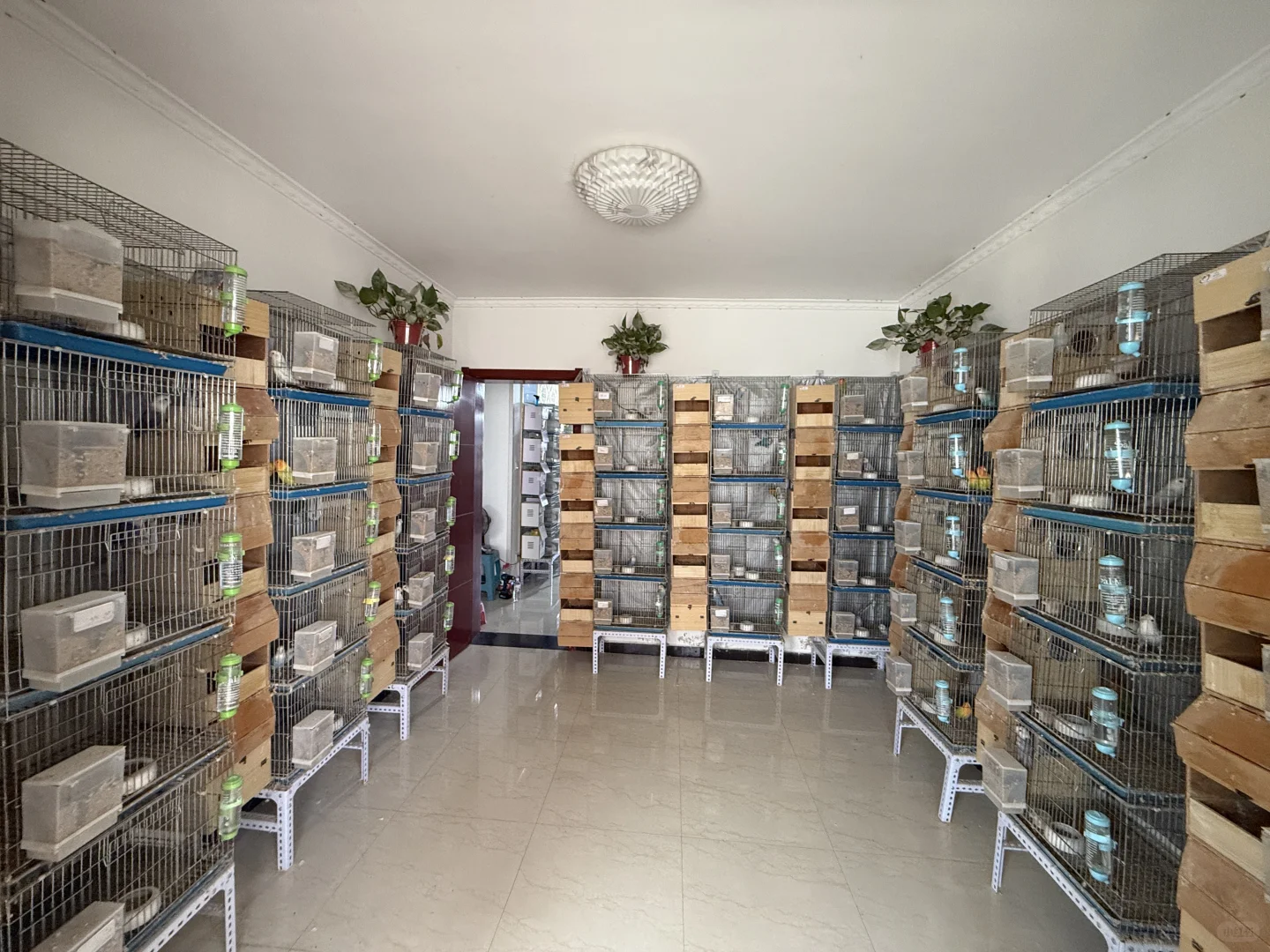 繁殖箱消毒完毕啦