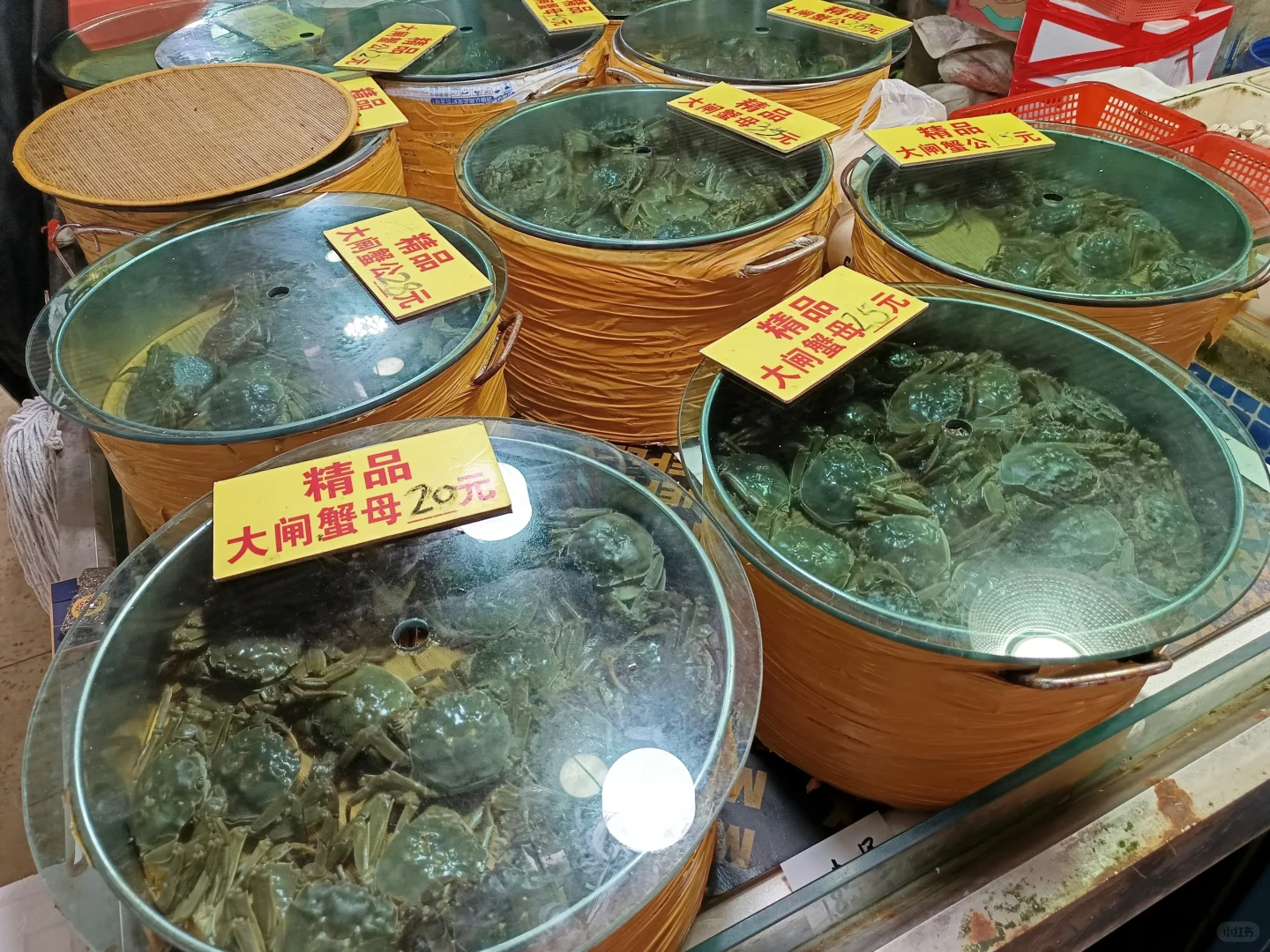 菜市场——桃源街生活圈第九站