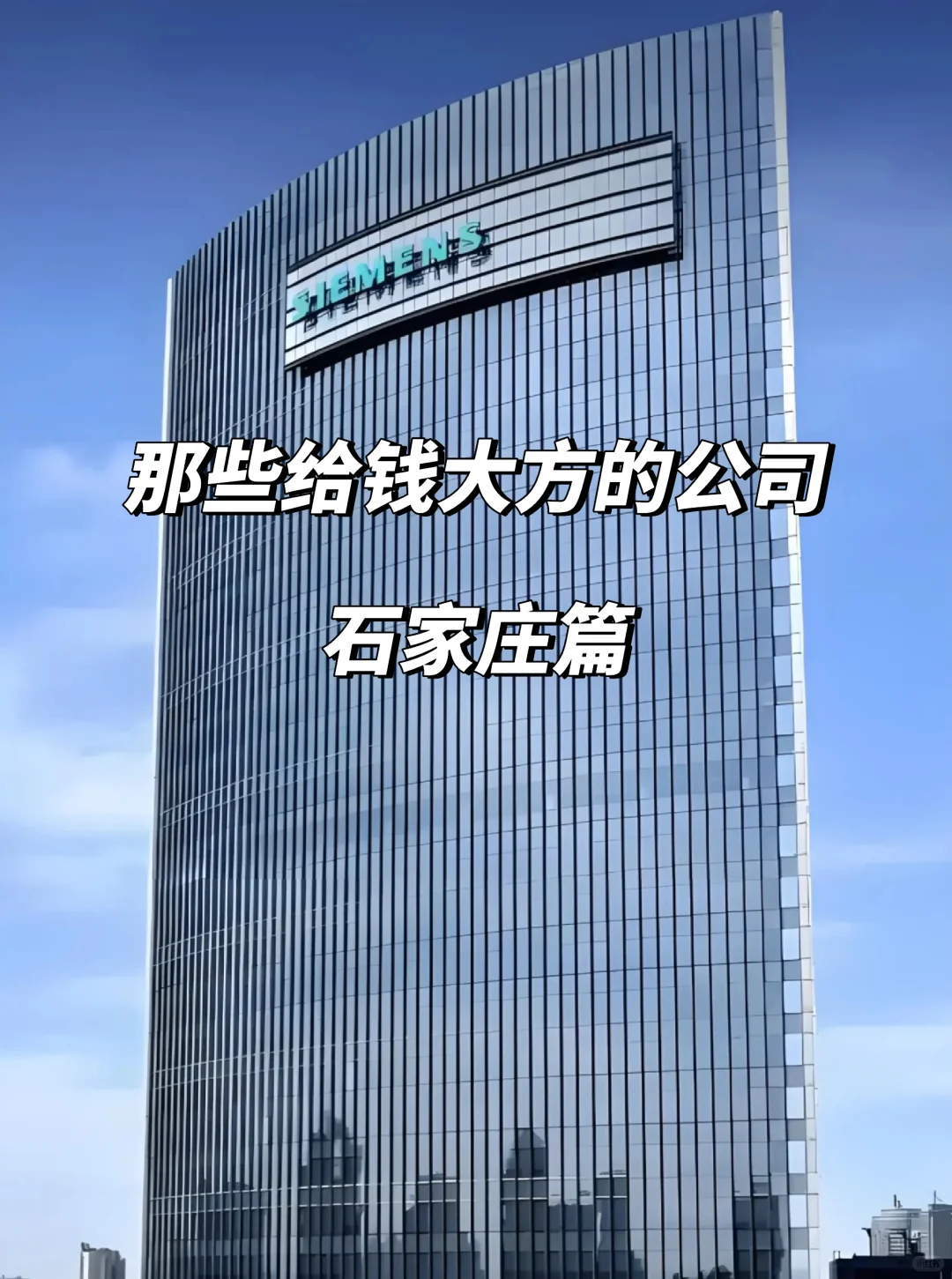 石家庄给钱大方公司合集！技术党求稳党速冲