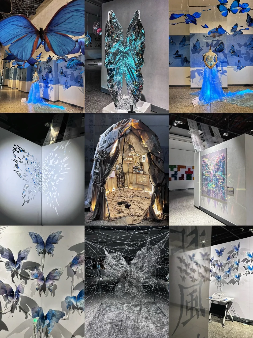 破茧而生，羽化而美｜武汉华农「蝶变」艺术展