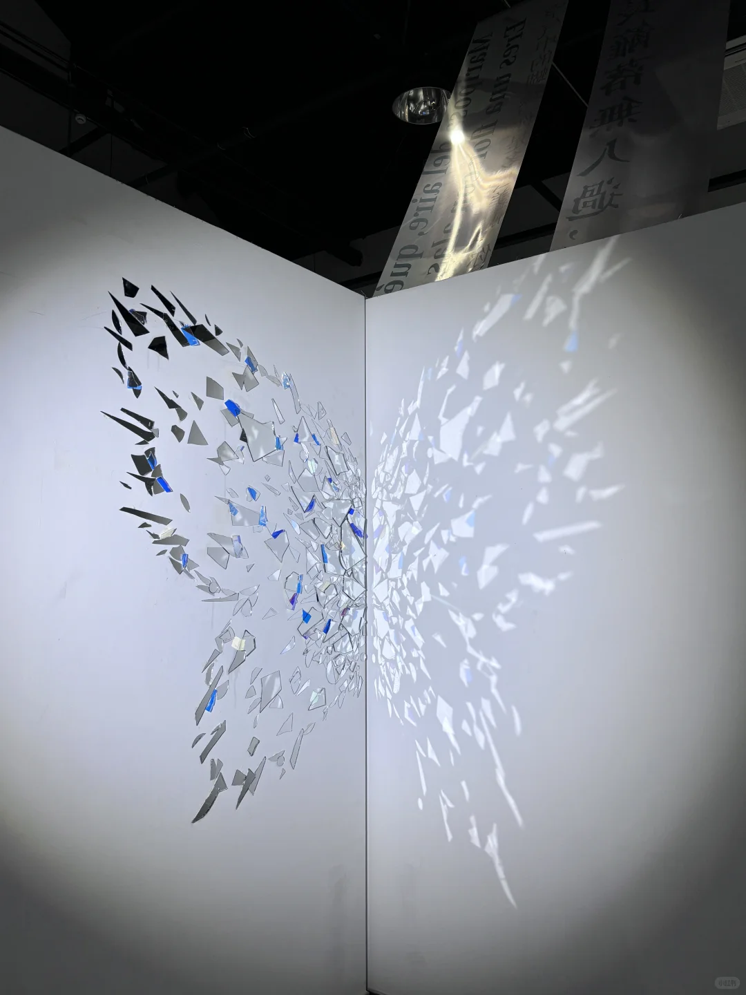 破茧而生，羽化而美｜武汉华农「蝶变」艺术展