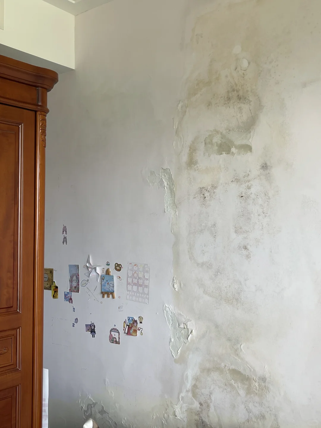 工地打卡08 | 原来！墙面发霉容易住生病