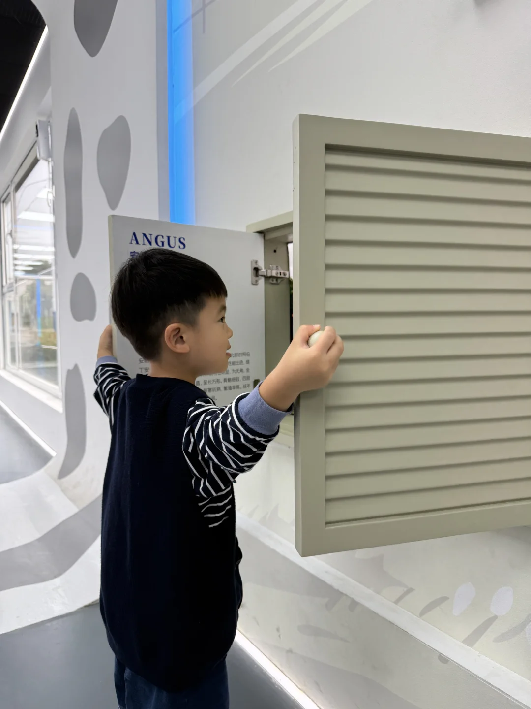 金山光明牧场｜上海周末免费遛娃