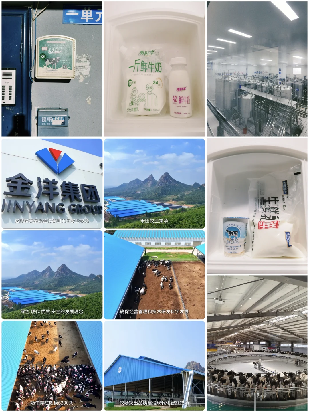 别再羡慕其它城市鲜奶了⚠️秦皇岛鲜奶配送