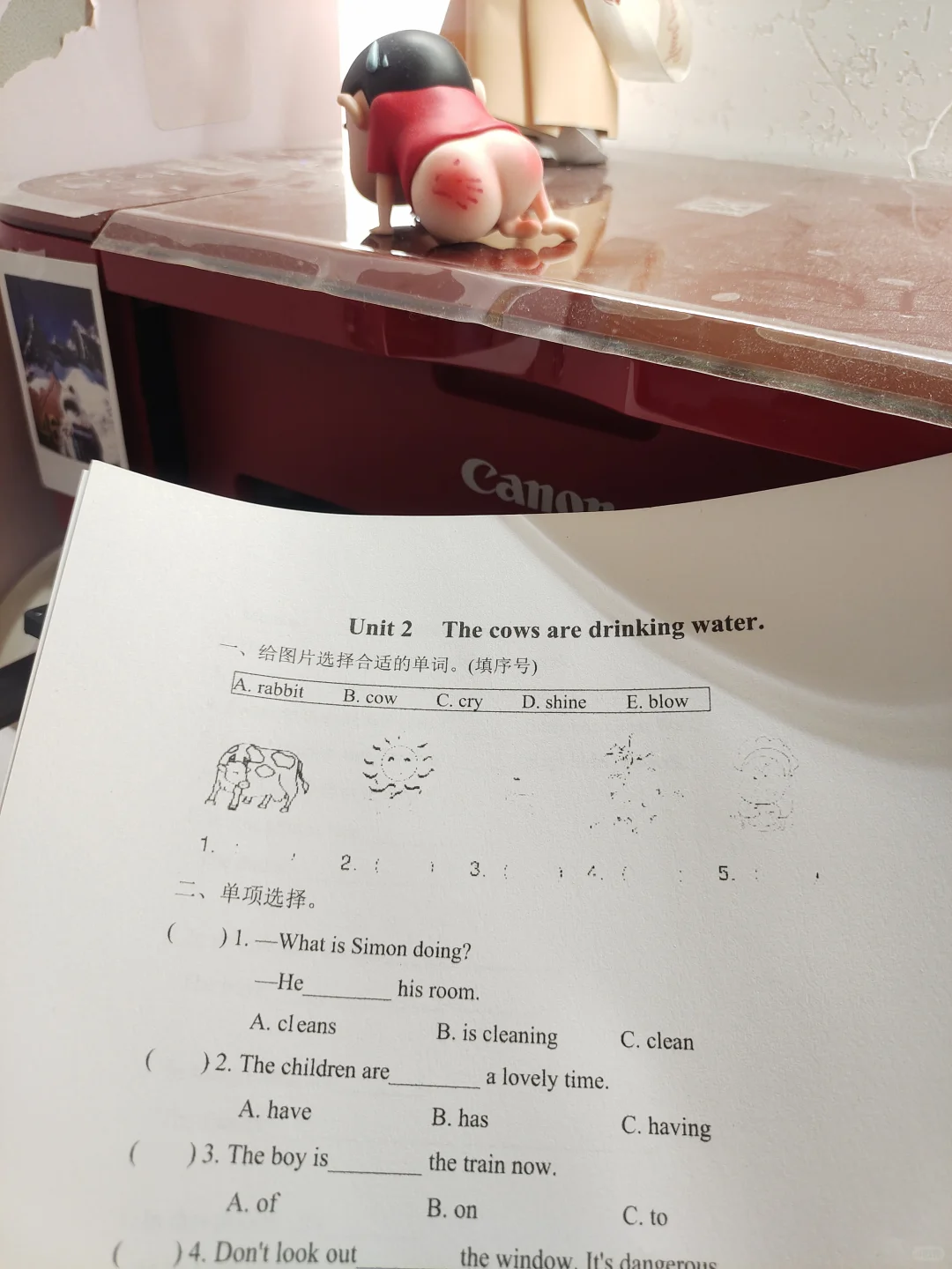 为什么图片打不出来