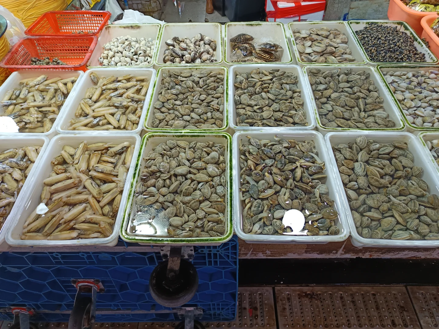 菜市场——桃源街生活圈第九站